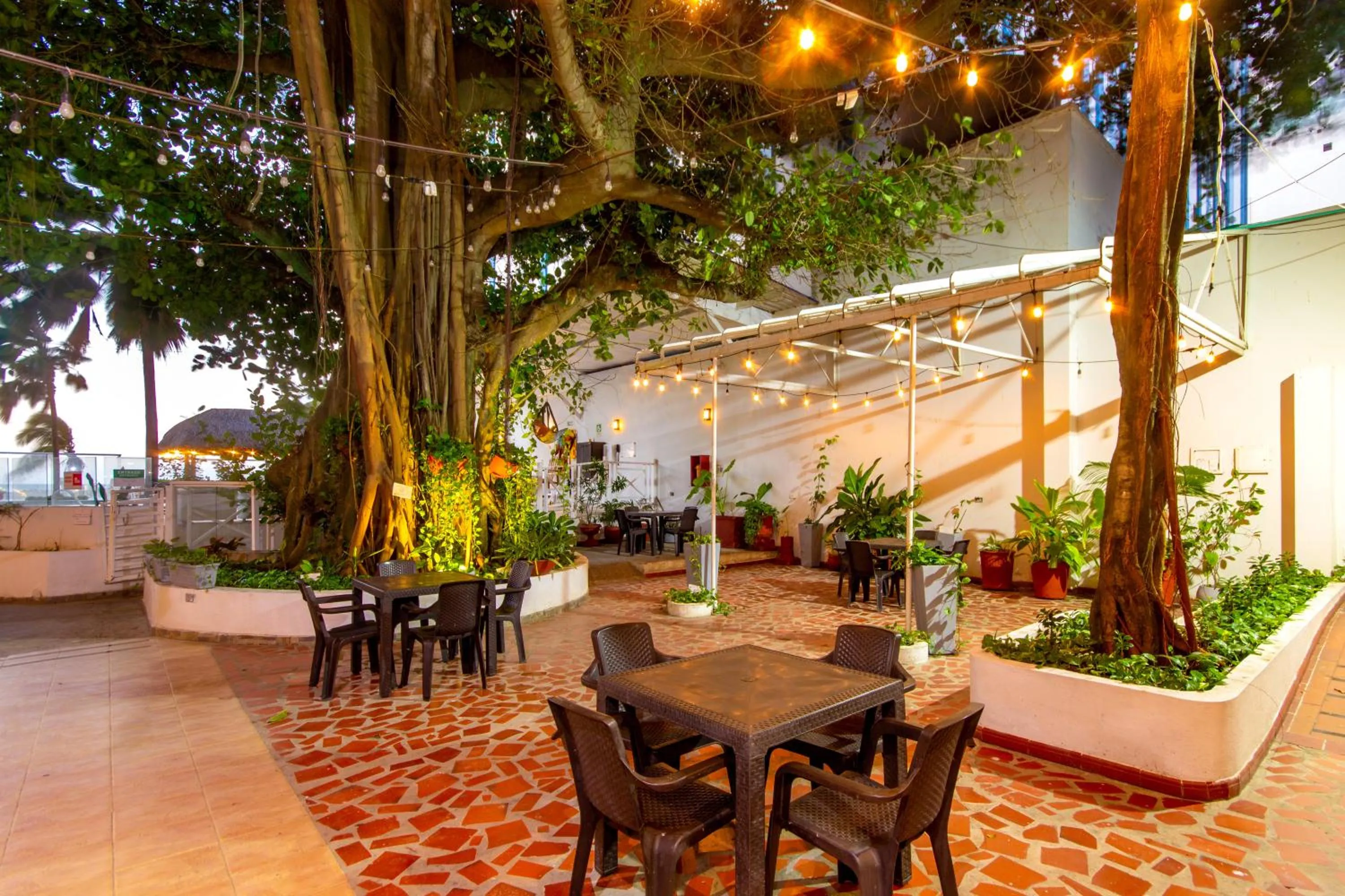 Patio in Hotel Playa Club