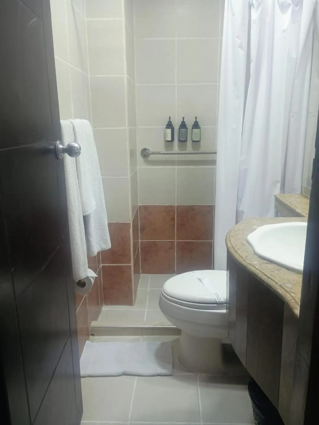 Toilet in Hotel Playa Club