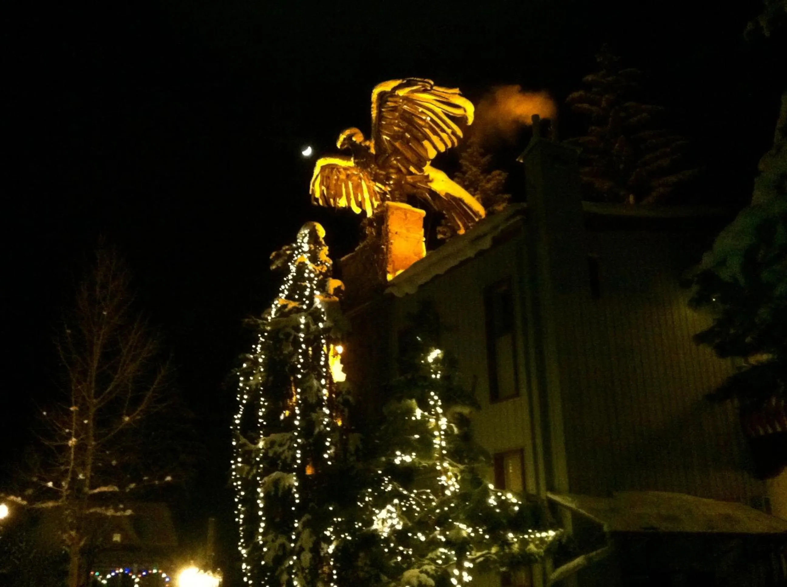 Decorative detail in Tyrolean Lodge