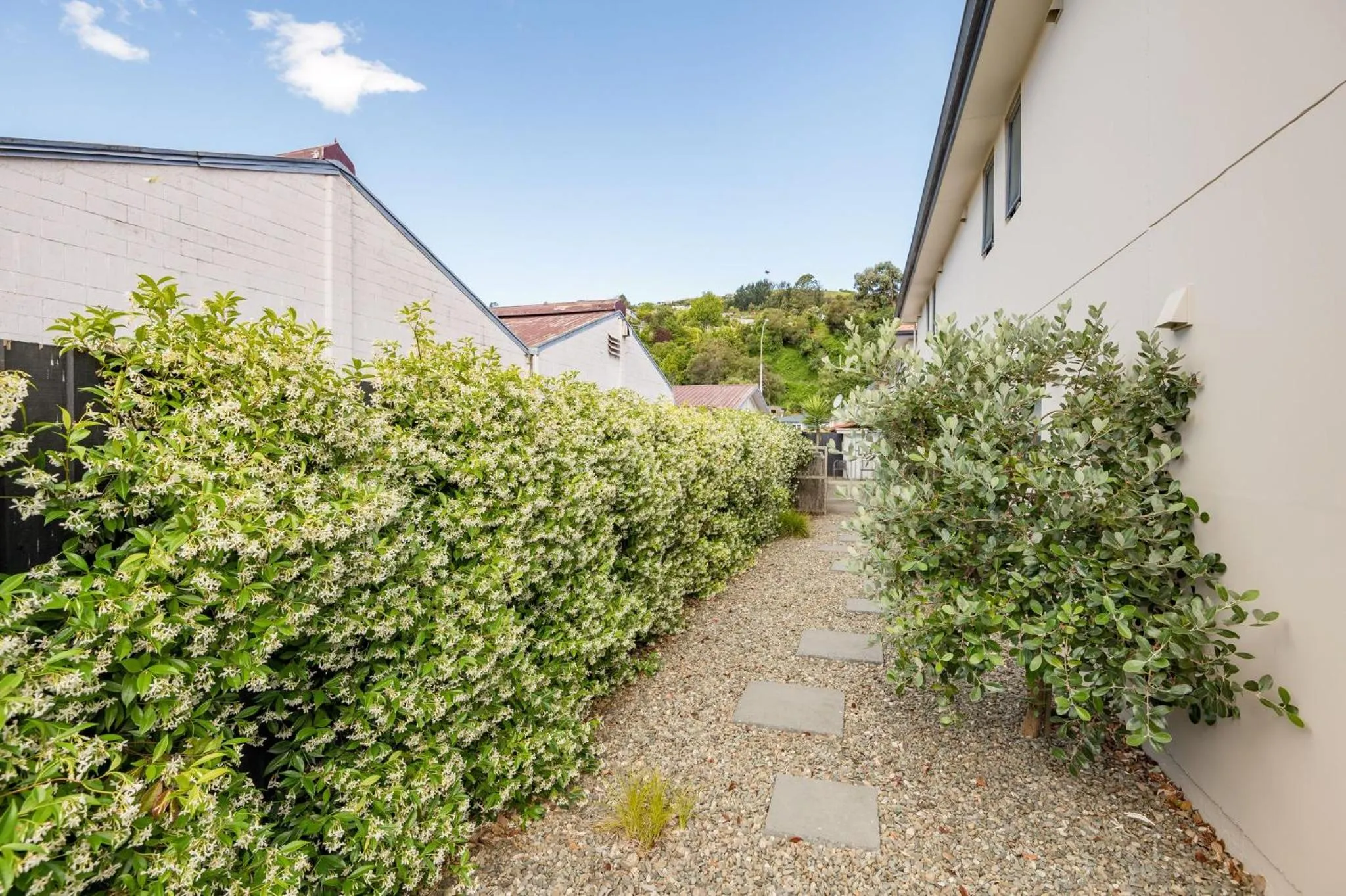 Day in Bella Vista Nelson