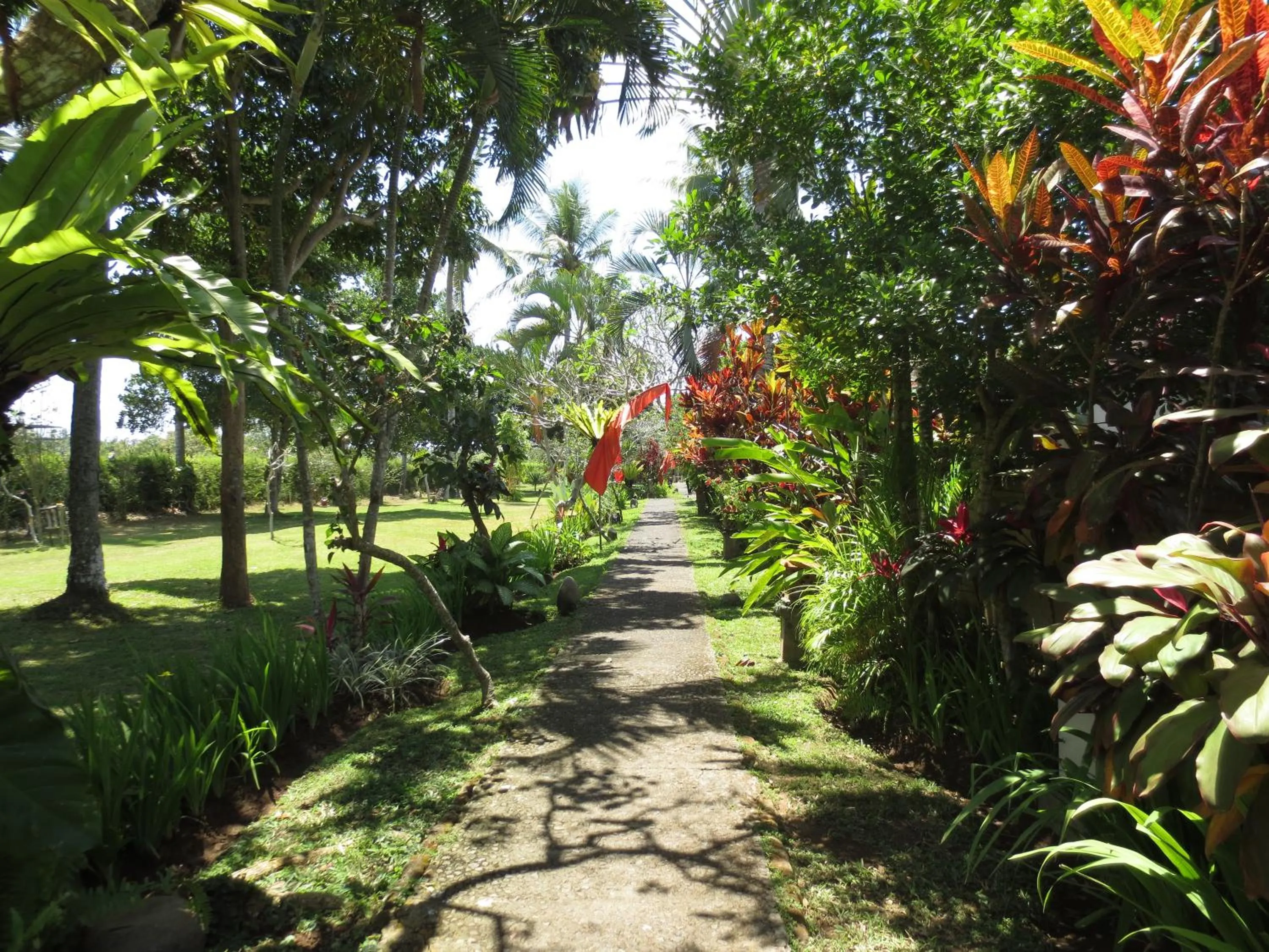 Garden in Bumi Ubud Resort