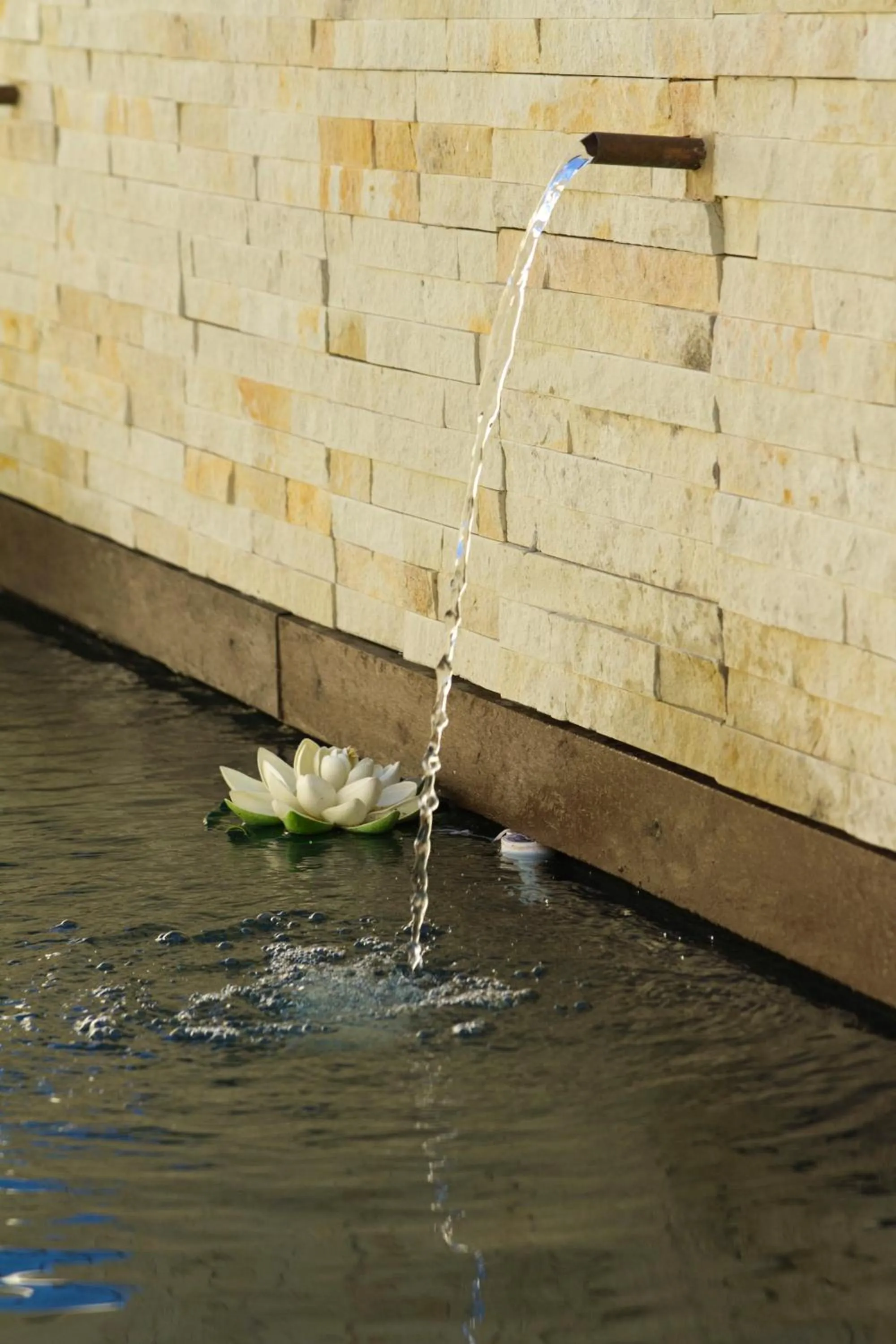 Pool view in Arum Place Guest House
