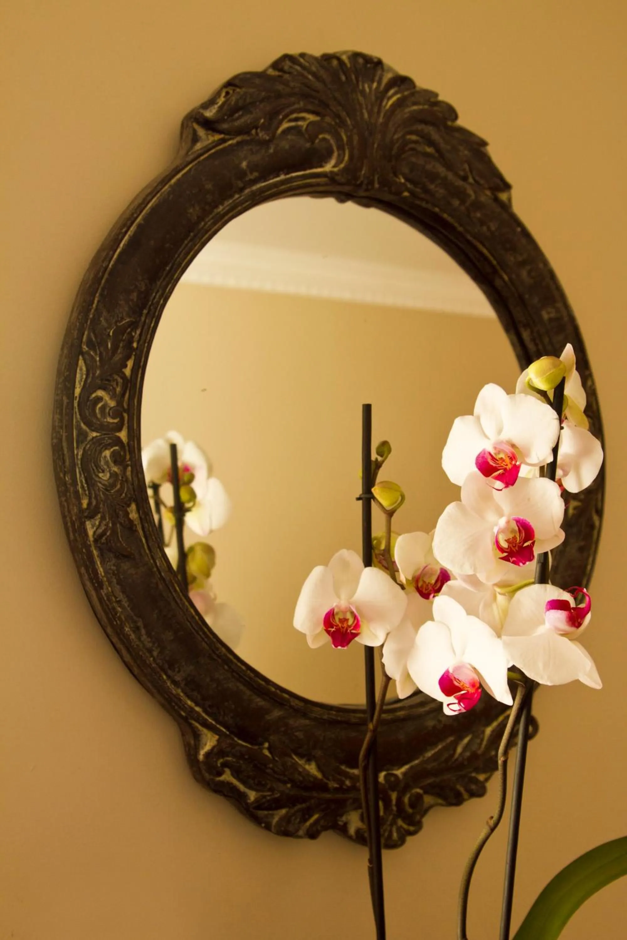 Decorative detail in Arum Place Guest House