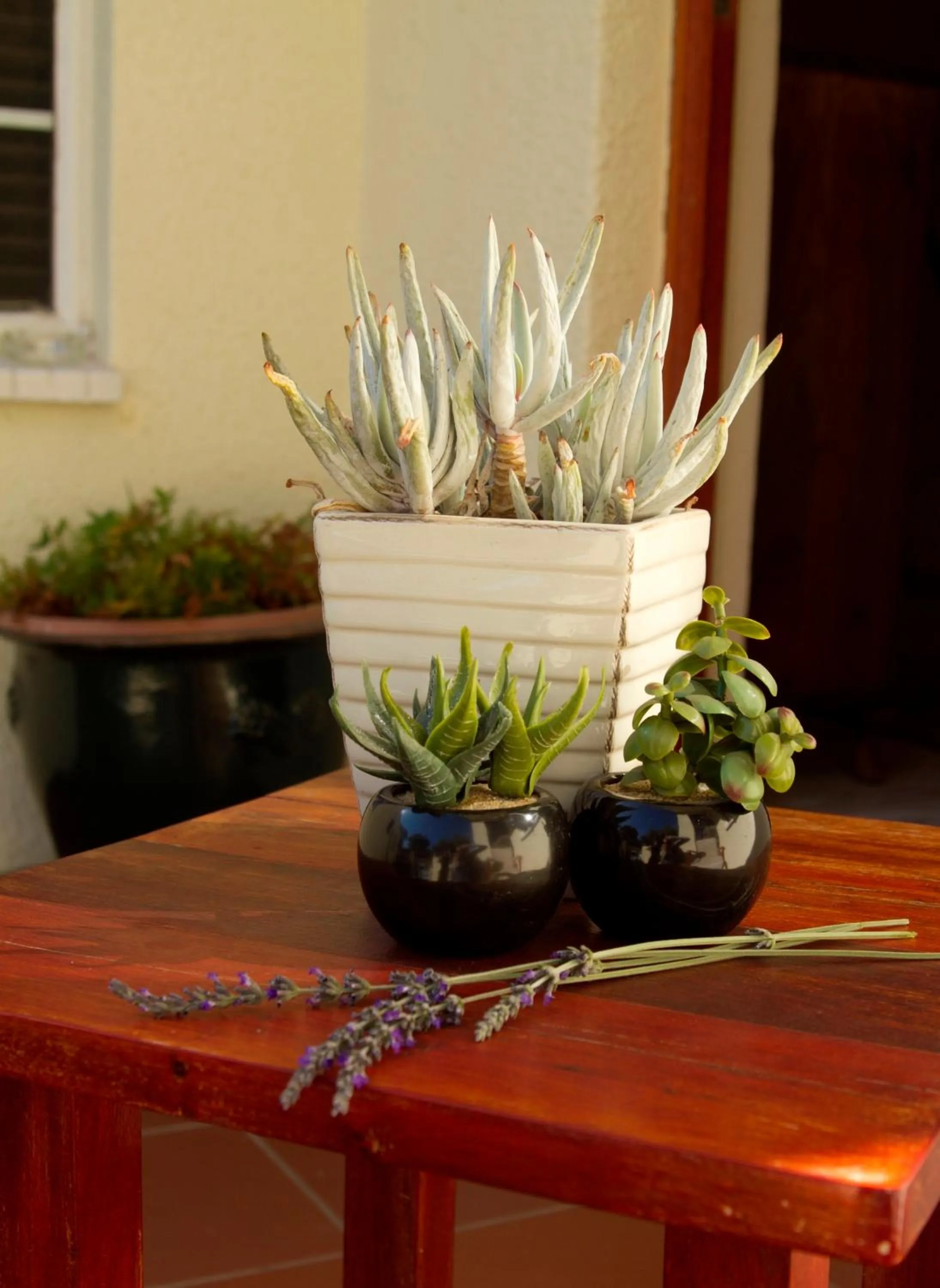 Garden in Arum Place Guest House