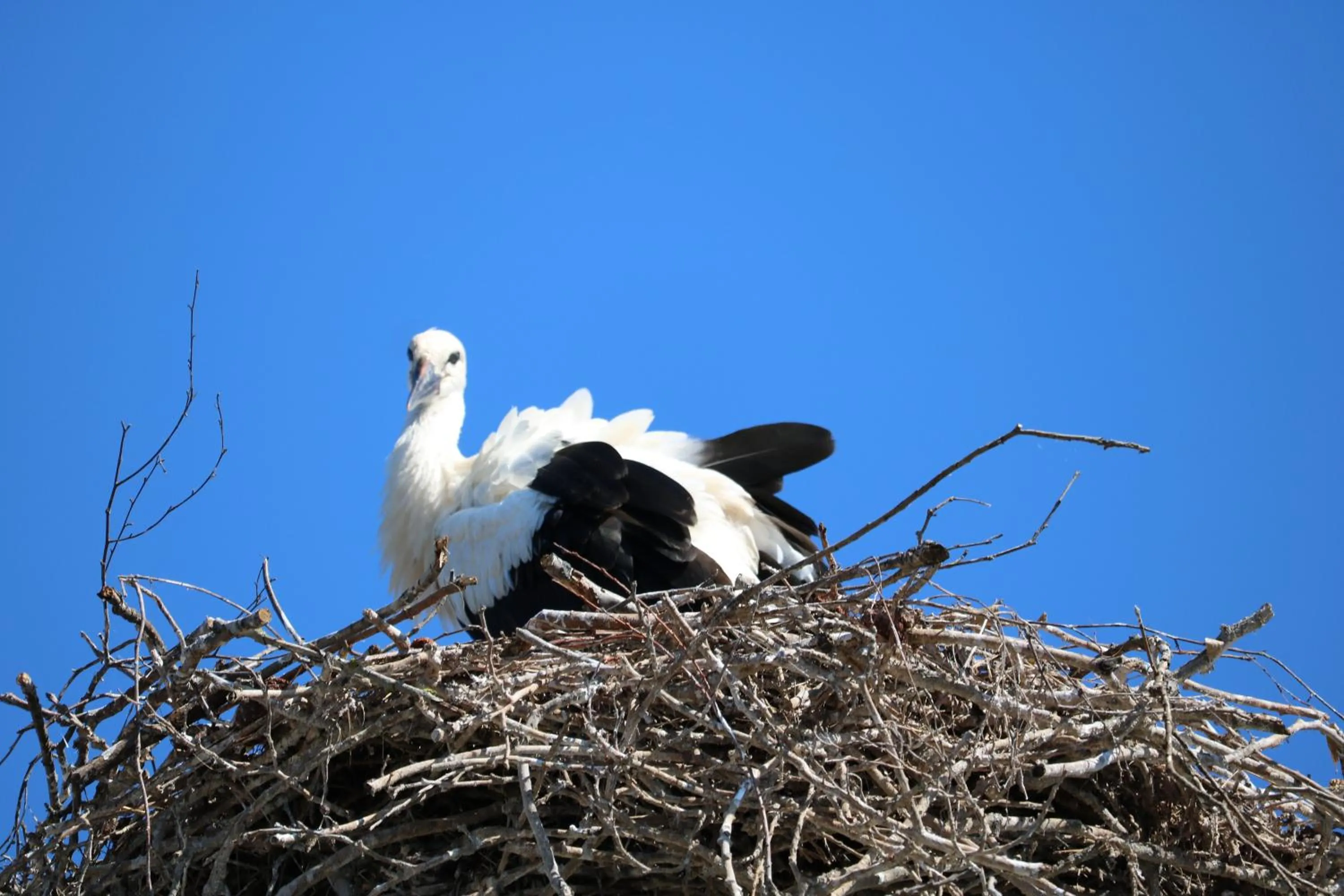 Nearby landmark in Radduscher Hafen