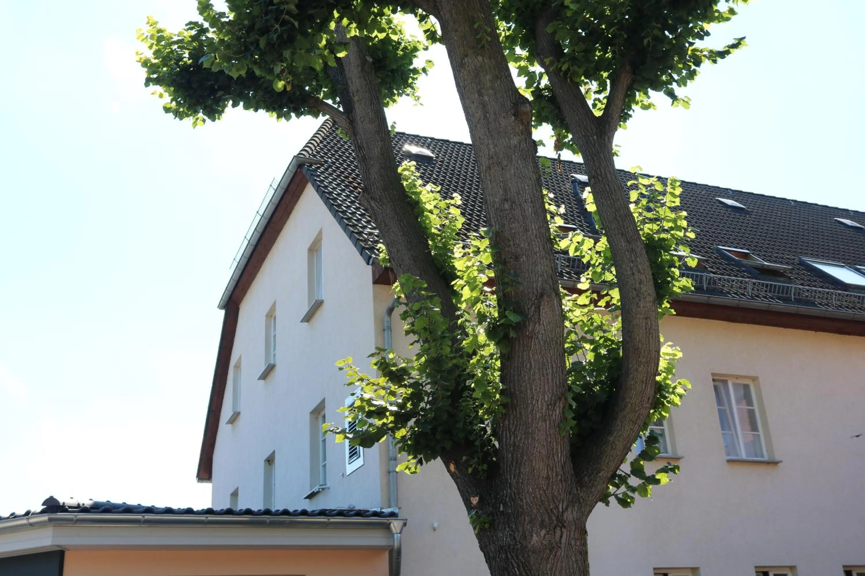 Natural landscape in Radduscher Hafen