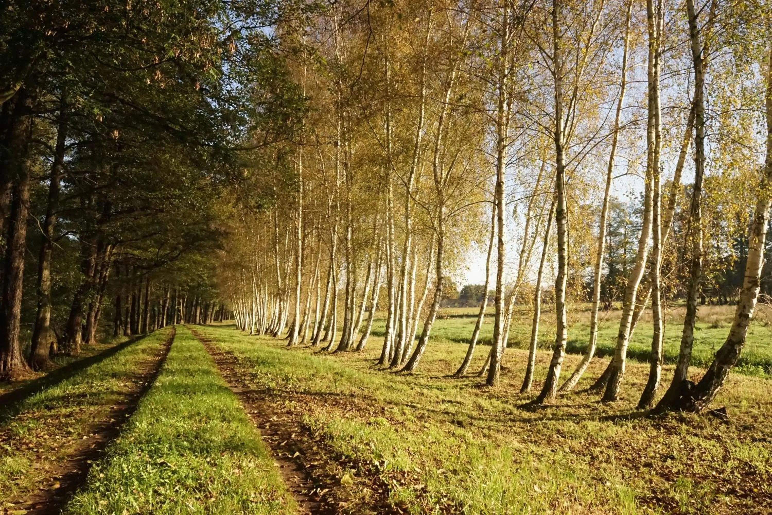 Area and facilities in Radduscher Hafen