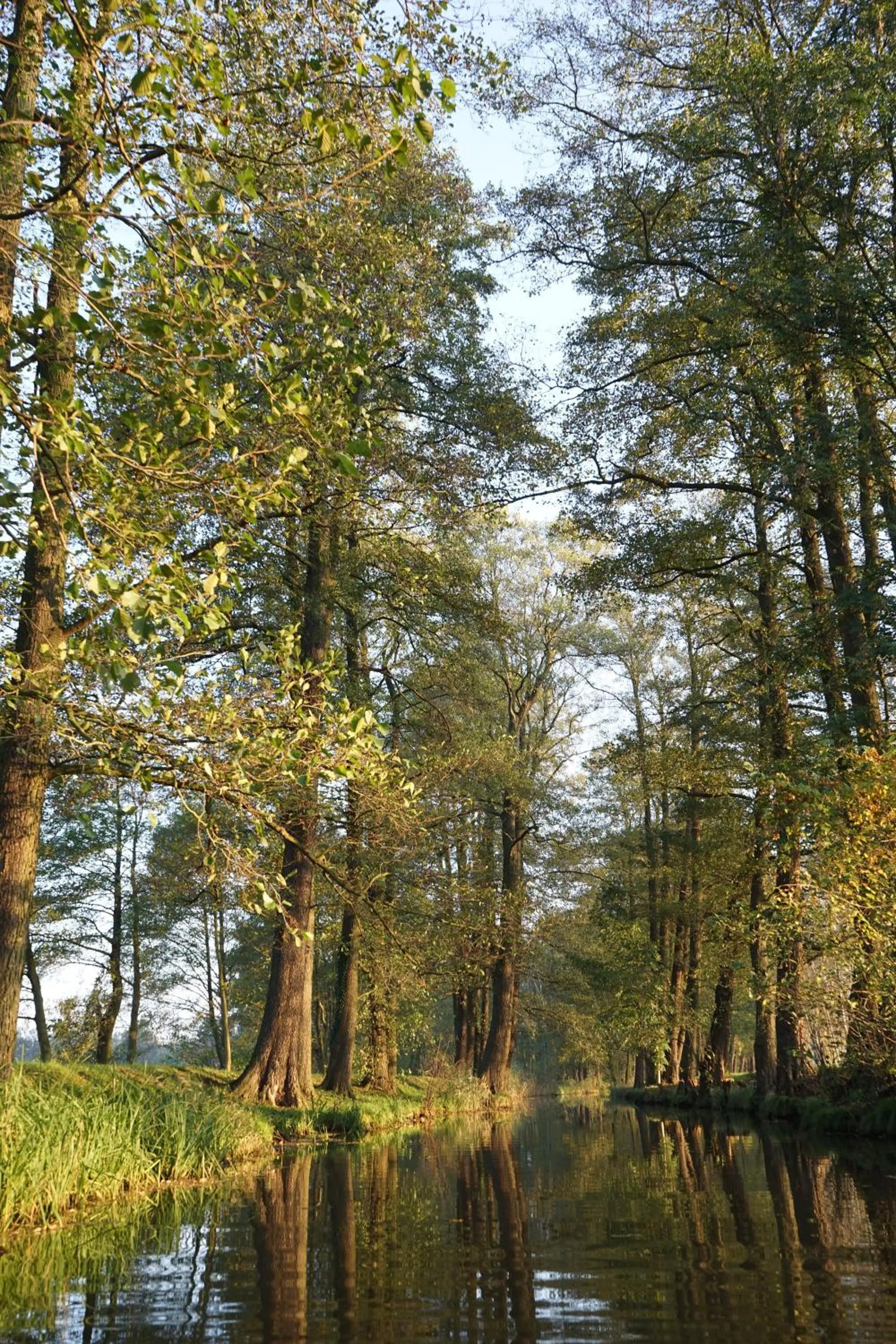 Area and facilities in Radduscher Hafen
