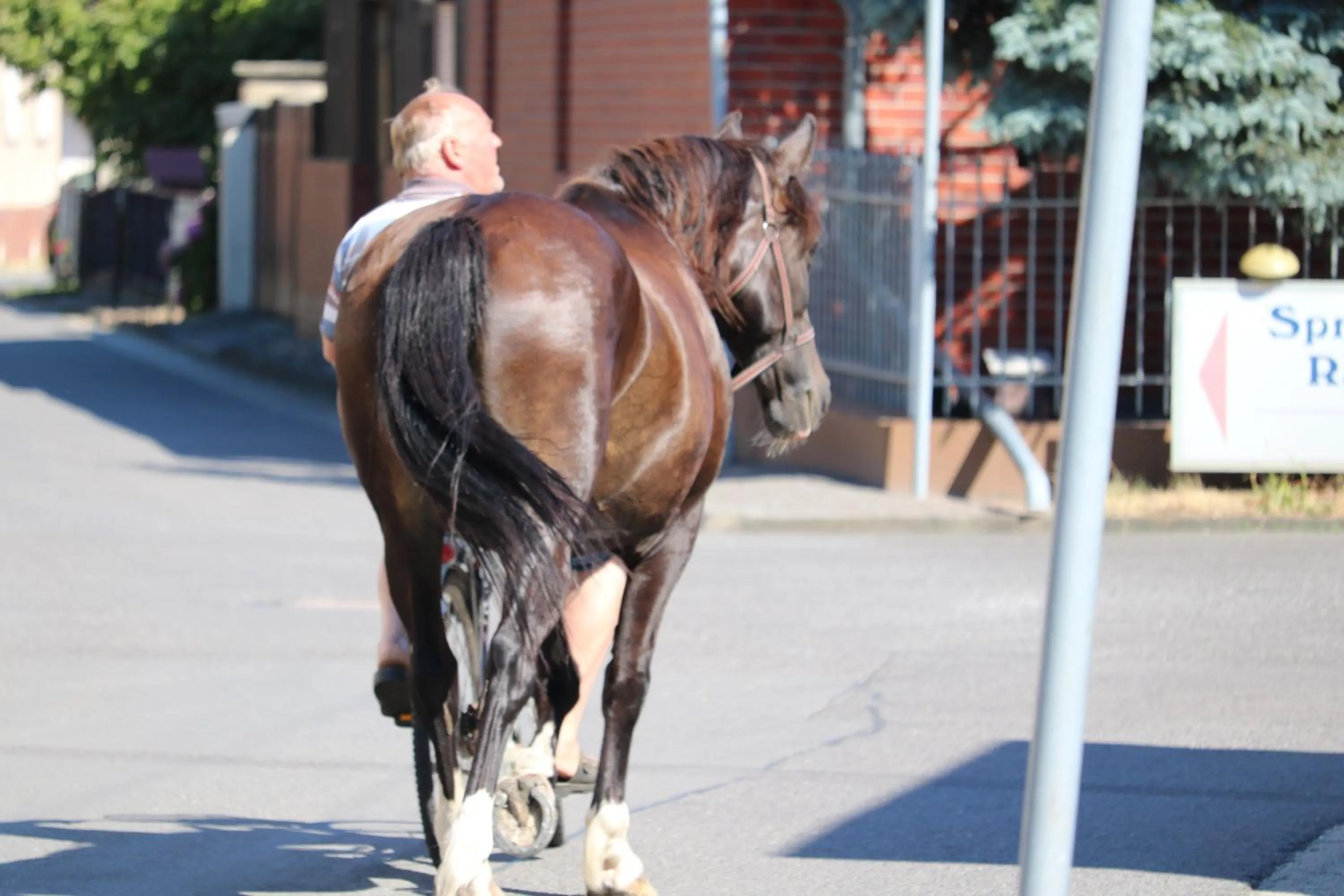 Natural landscape in Radduscher Hafen