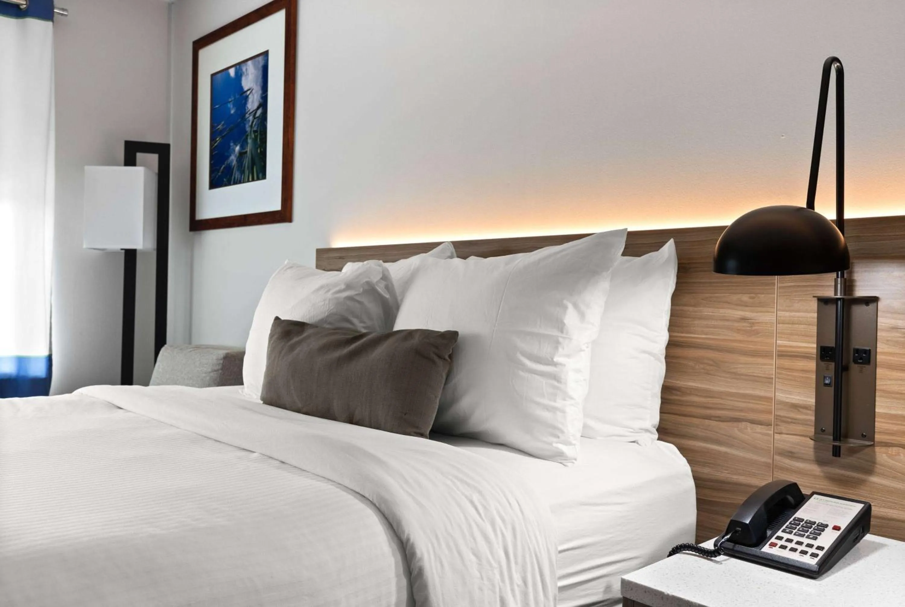 Photo of the whole room, Bed in Wyndham Garden Manassas