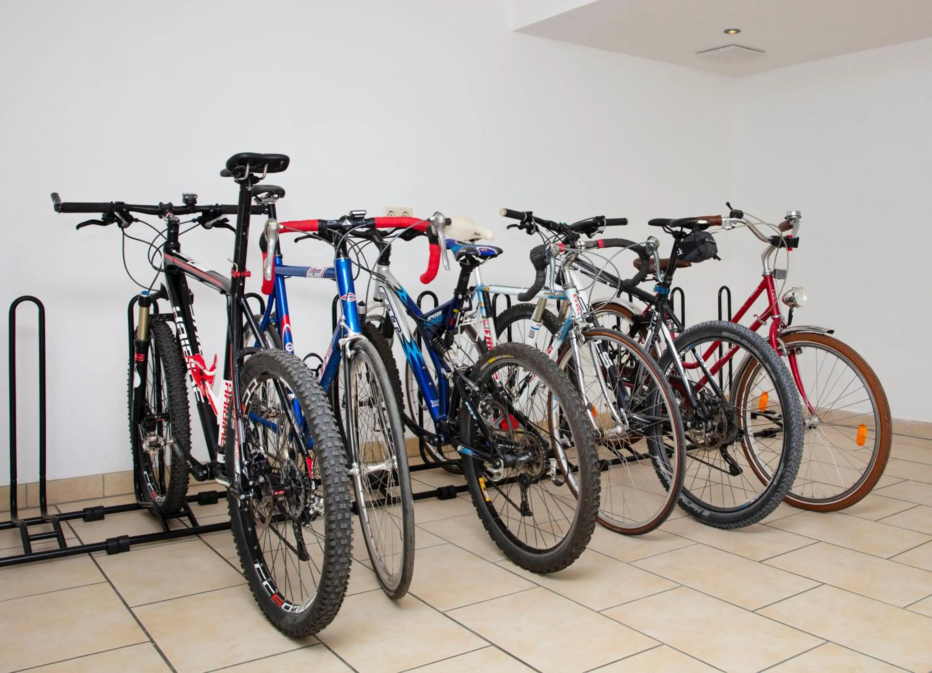 Cycling in Alpenhotel Rieger