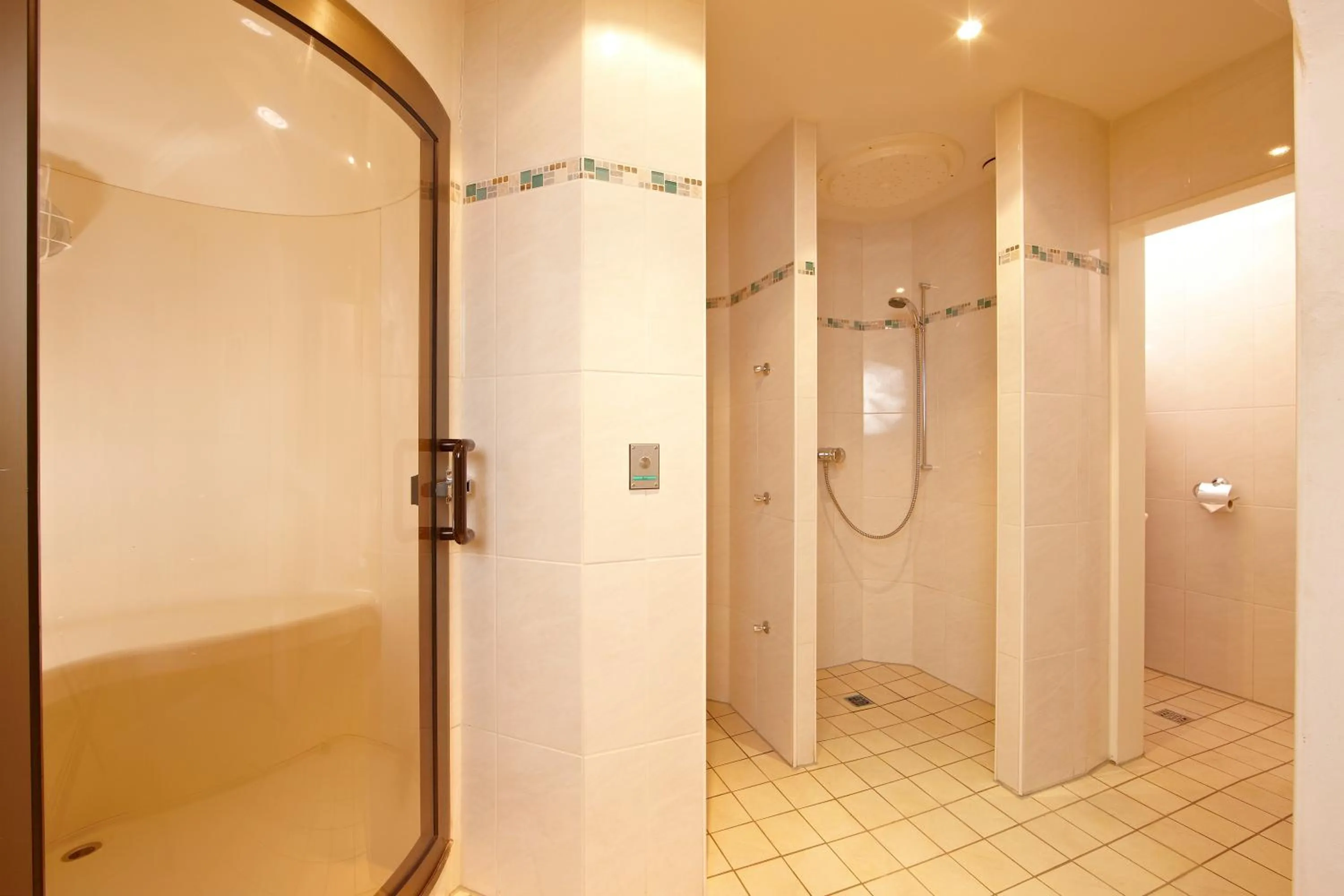 Spa and wellness centre/facilities in Alpenhotel Rieger