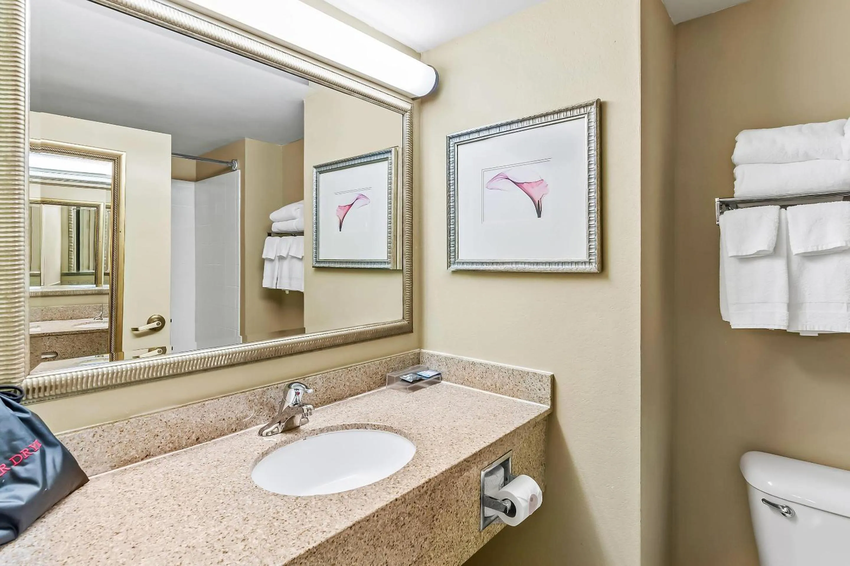 Bedroom in Country Inn & Suites by Radisson, Princeton, WV