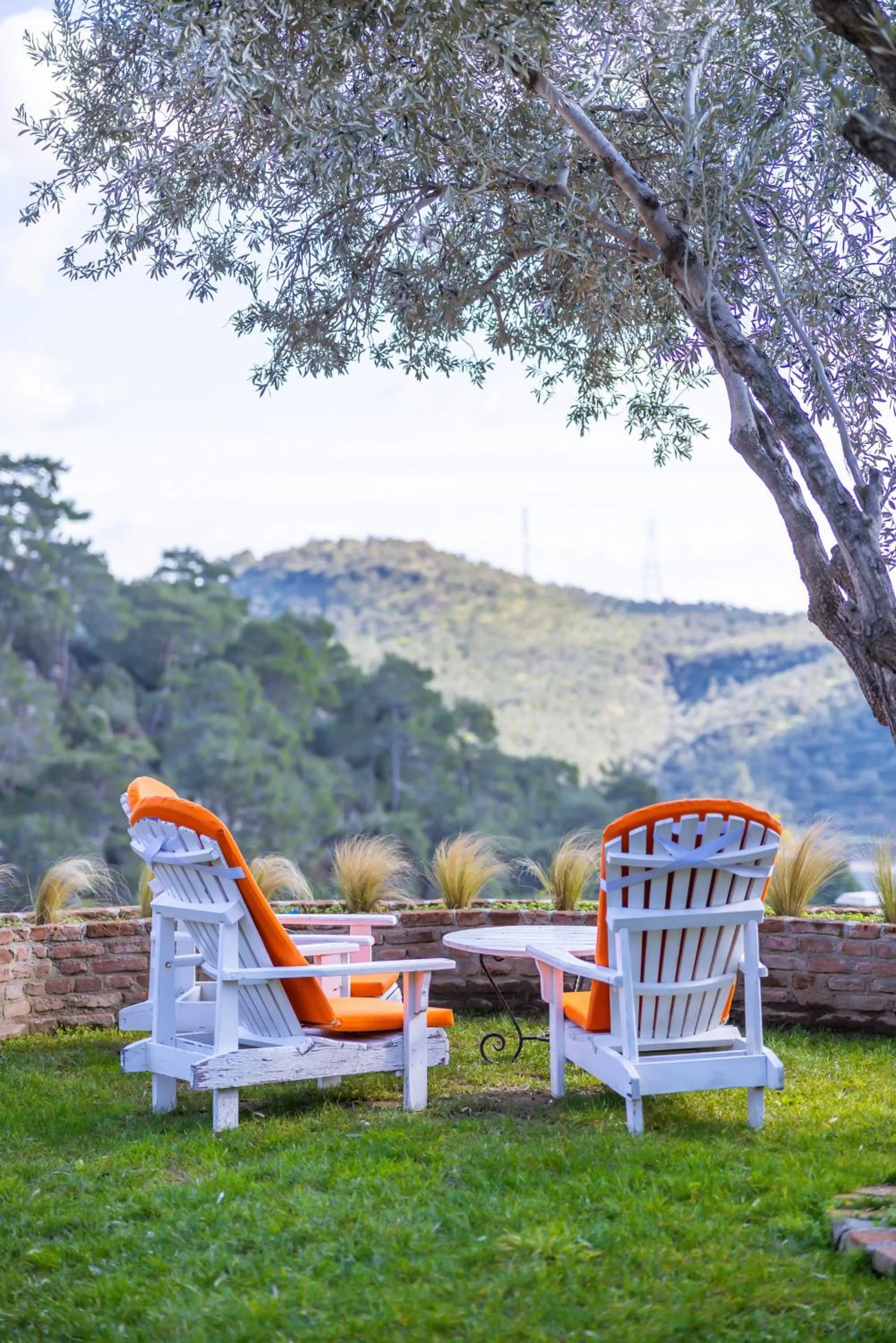 Garden in Çetmihan Hotel