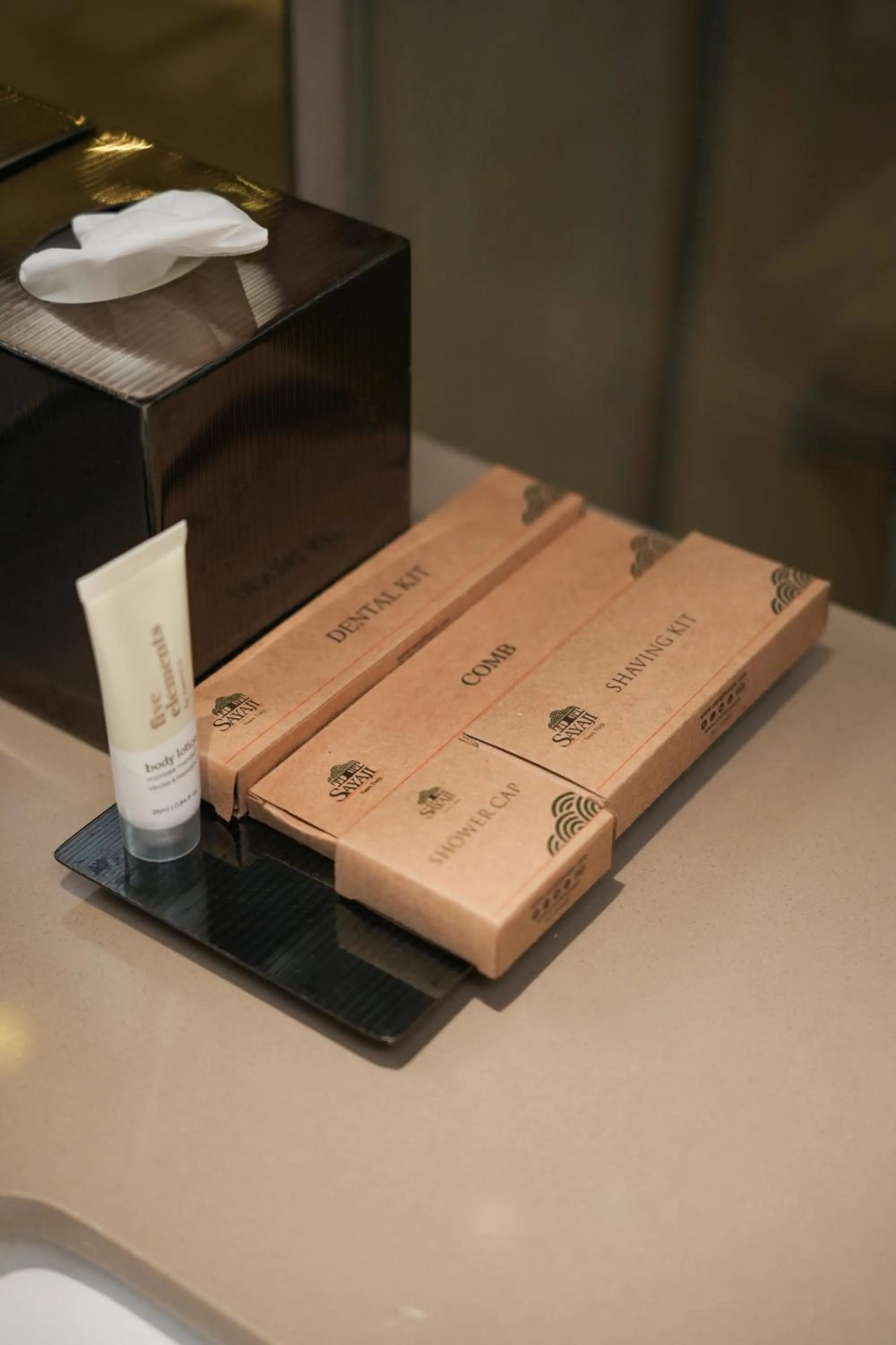 Bathroom in Sayaji Vadodara