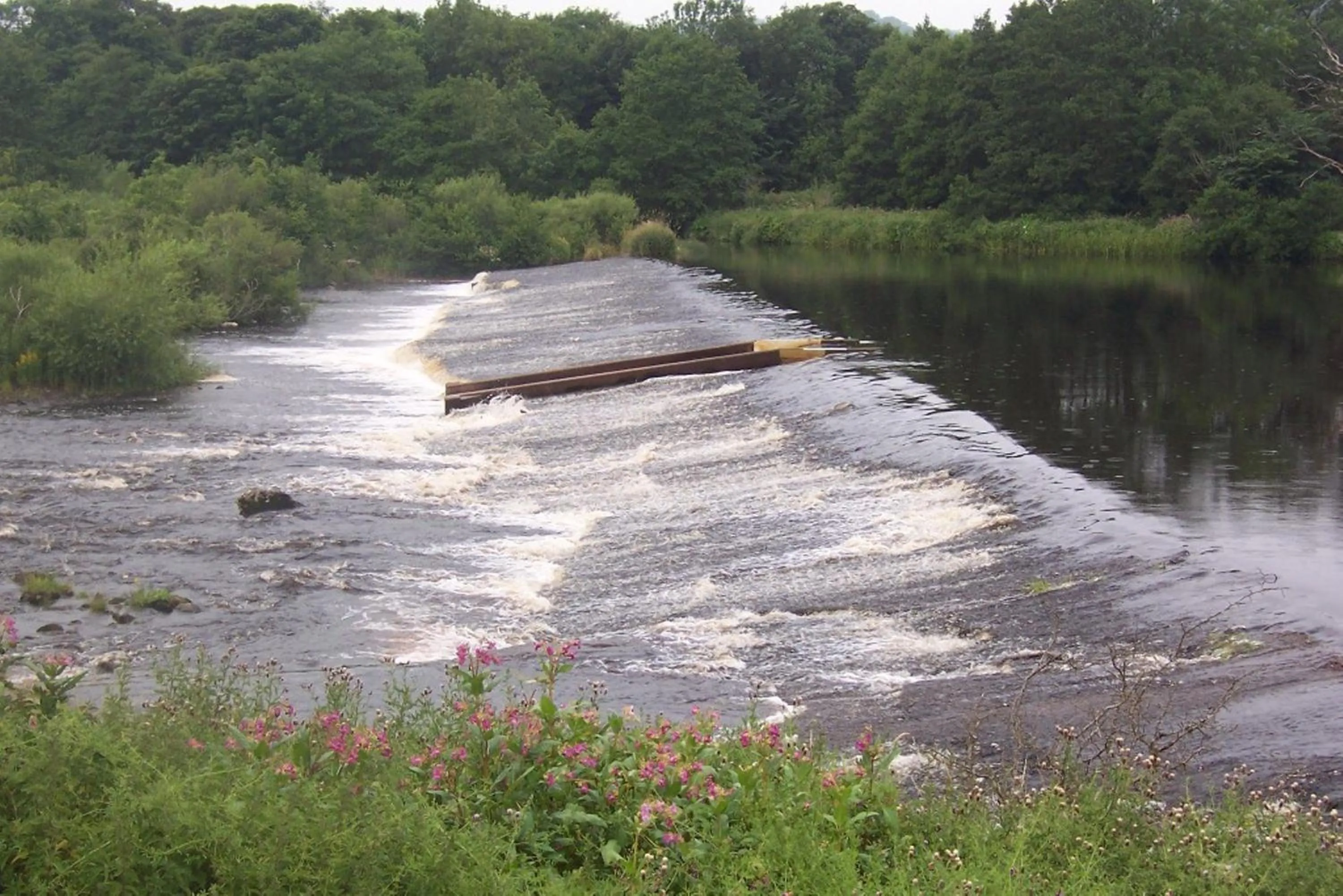 Area and facilities in Riverdale Hall Hotel & Leisure