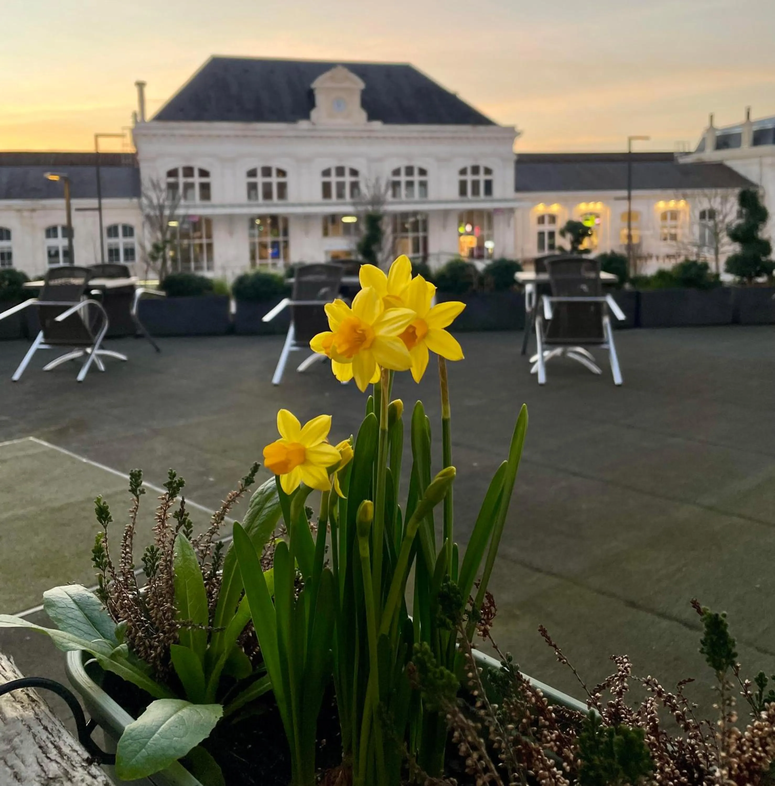 Garden in Best Western Blois Château