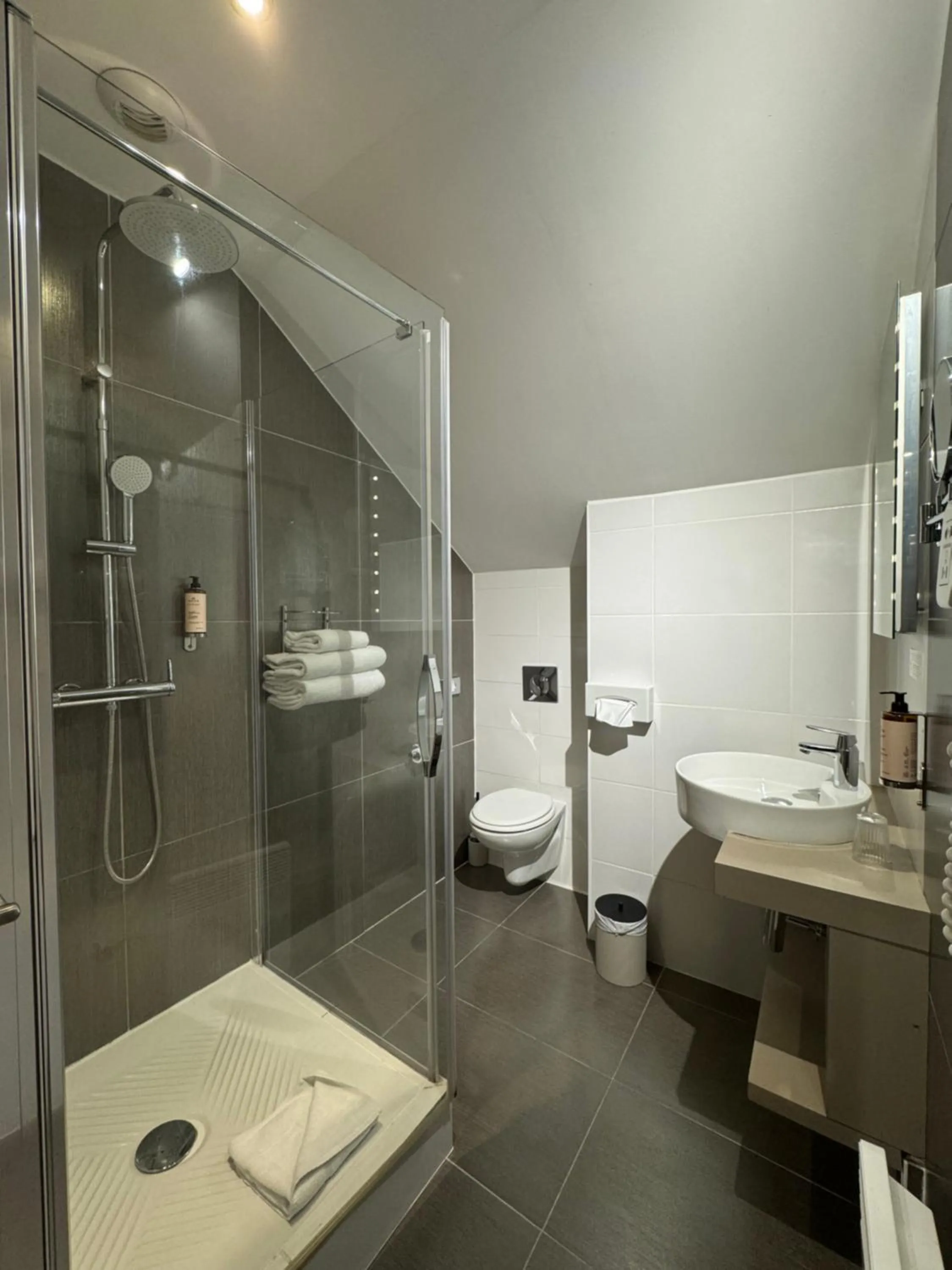 Shower in Best Western Blois Château