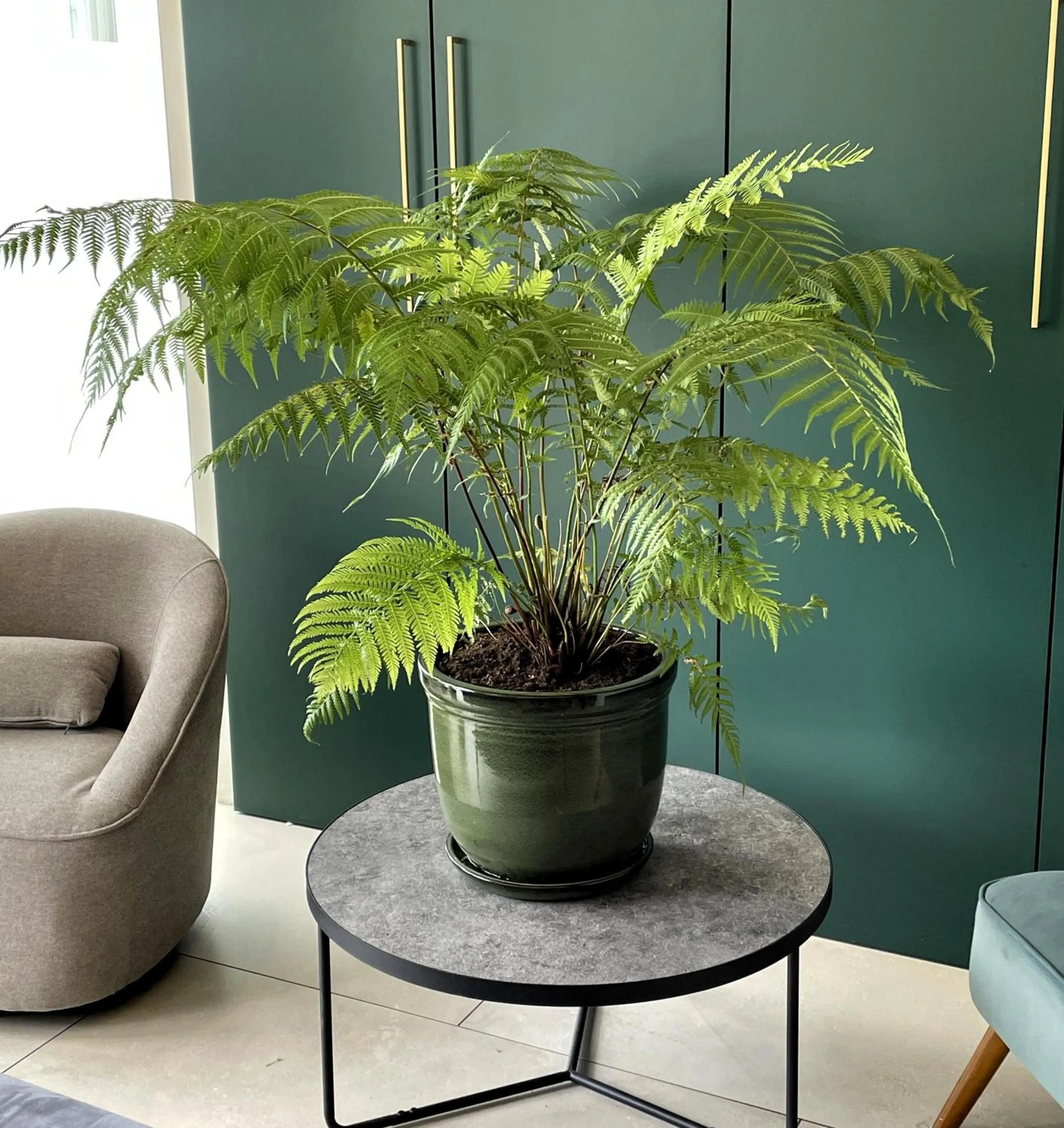 Lobby or reception in Best Western Blois Château