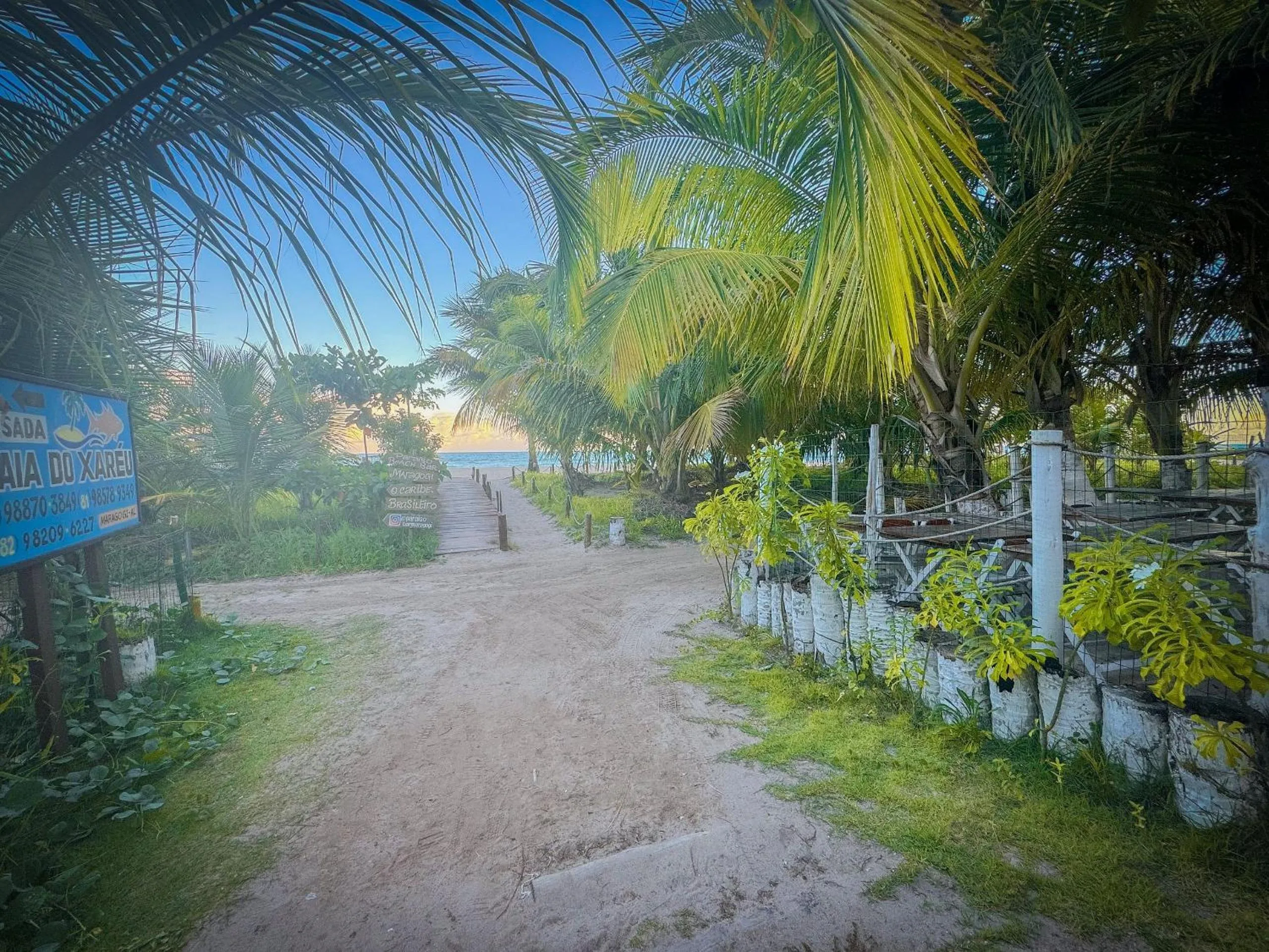 Natural landscape in Pousada Xaréu Maragogi