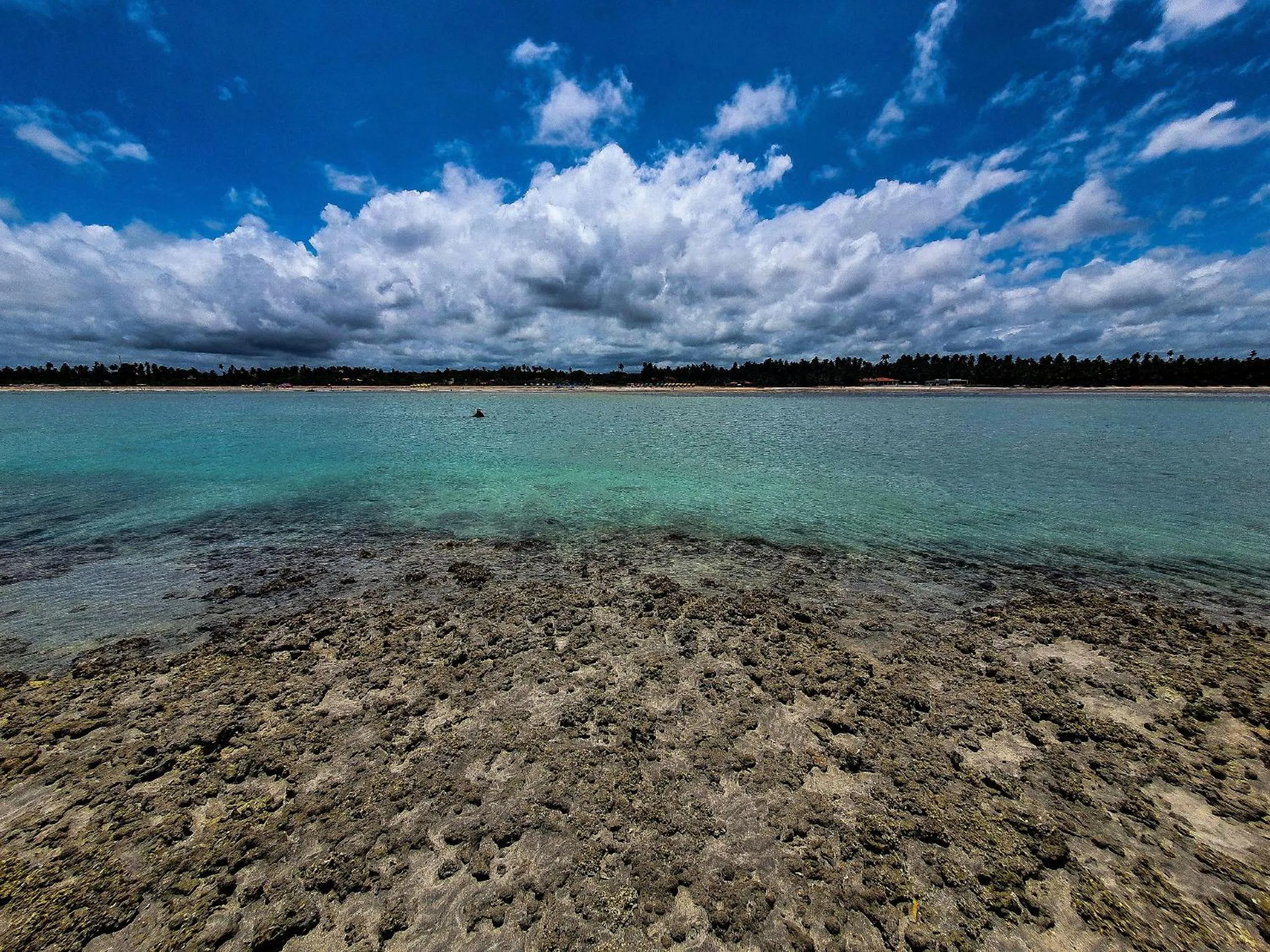 Natural landscape in Pousada Xaréu Maragogi