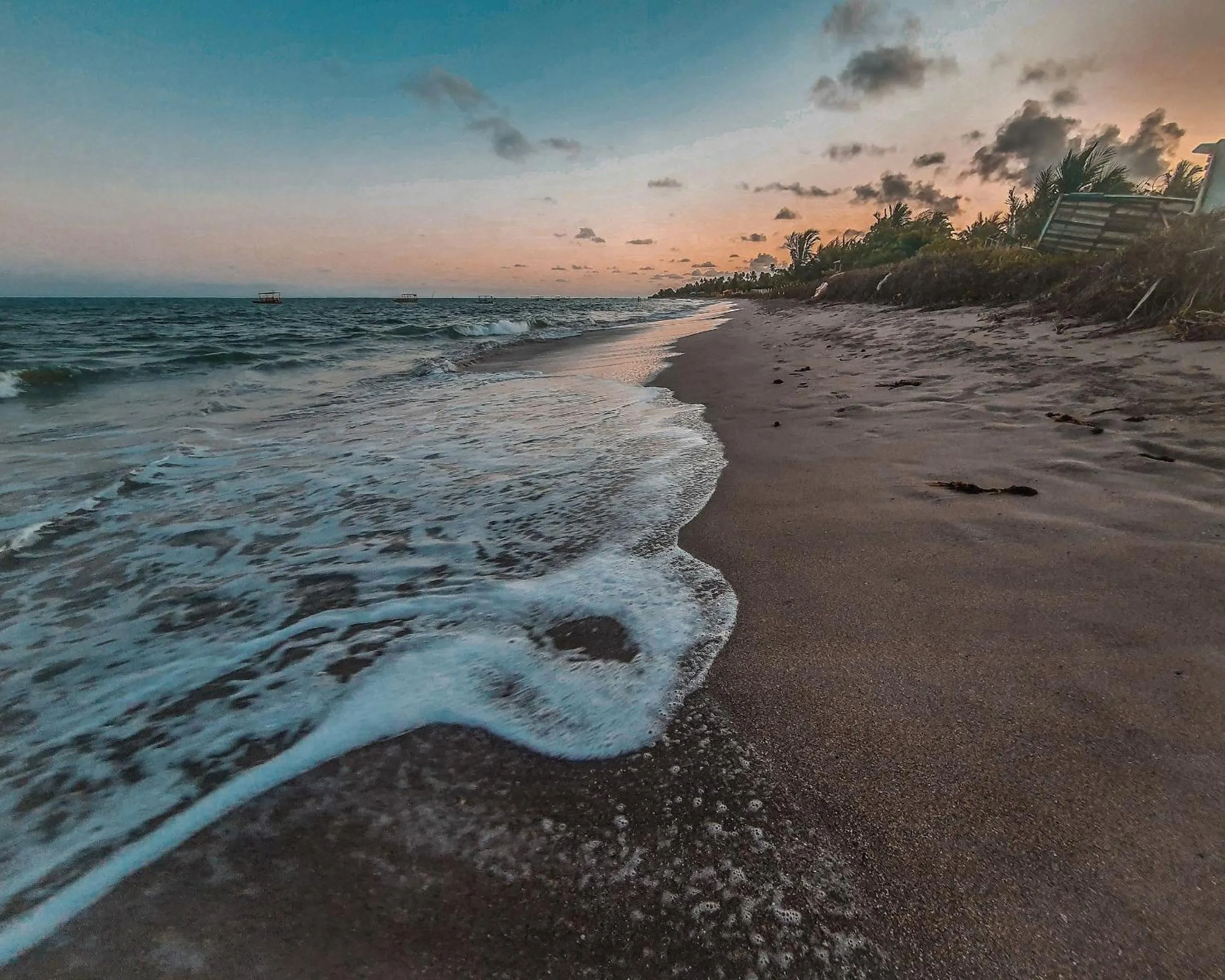 Natural landscape in Pousada Xaréu Maragogi