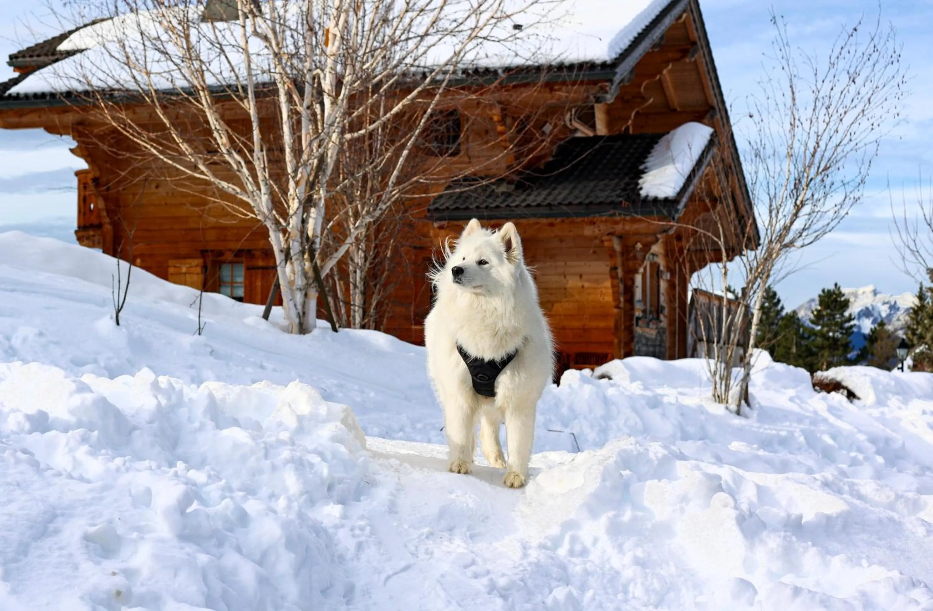 Chalet RoyAlp Hôtel & Spa