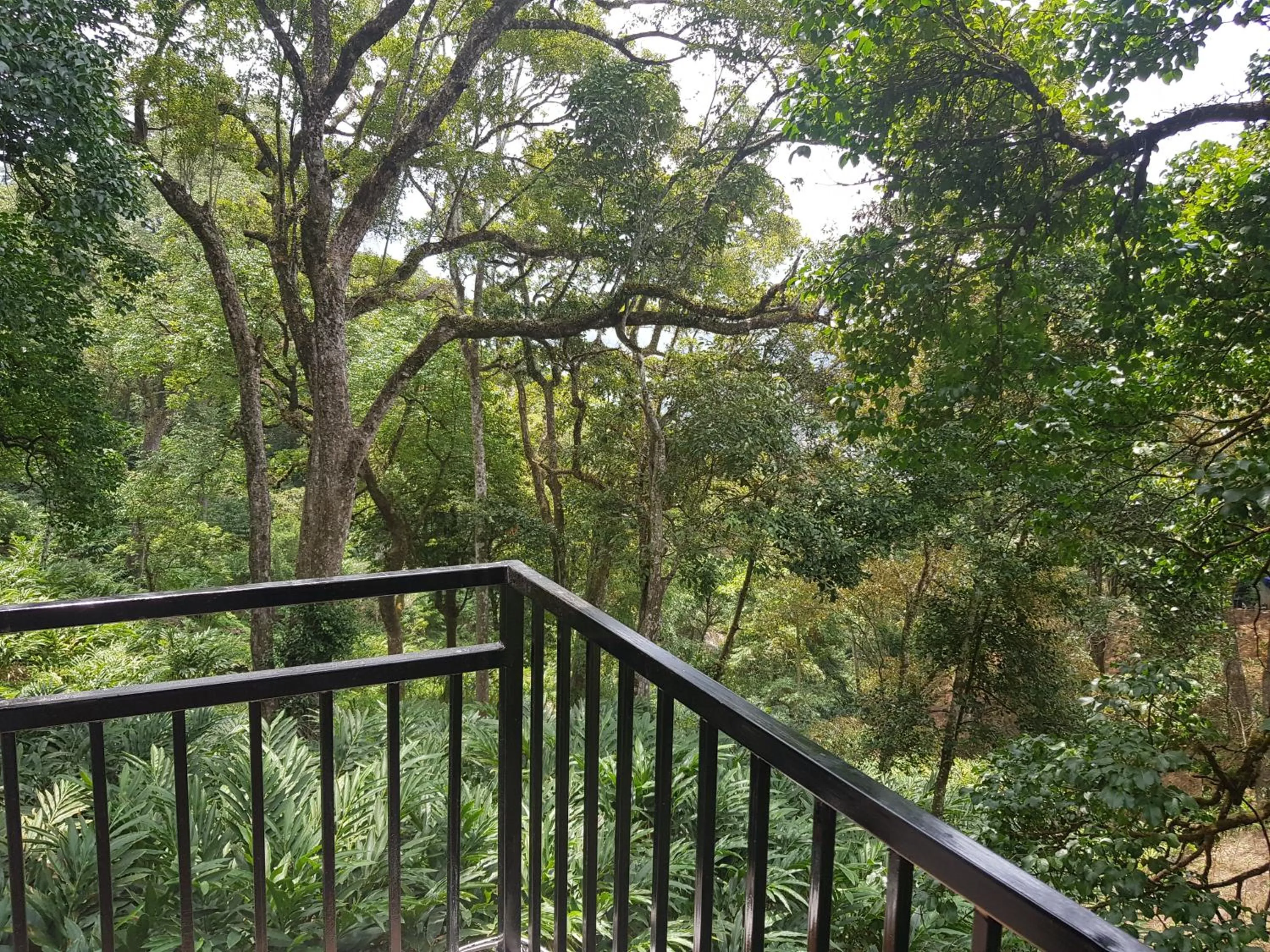 Balcony/Terrace in Spice Jungle Resort