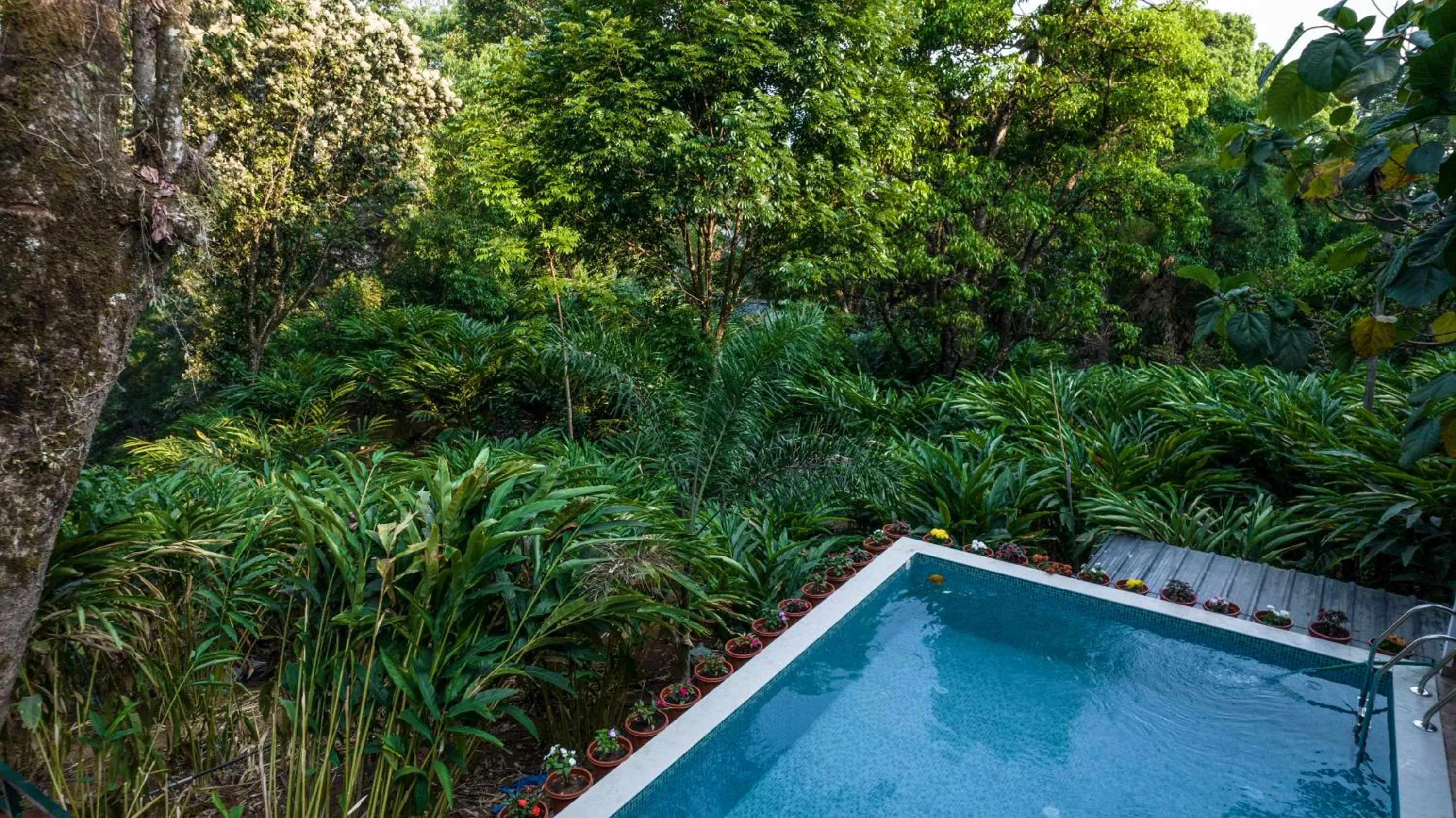 Pool view in Spice Jungle Resort