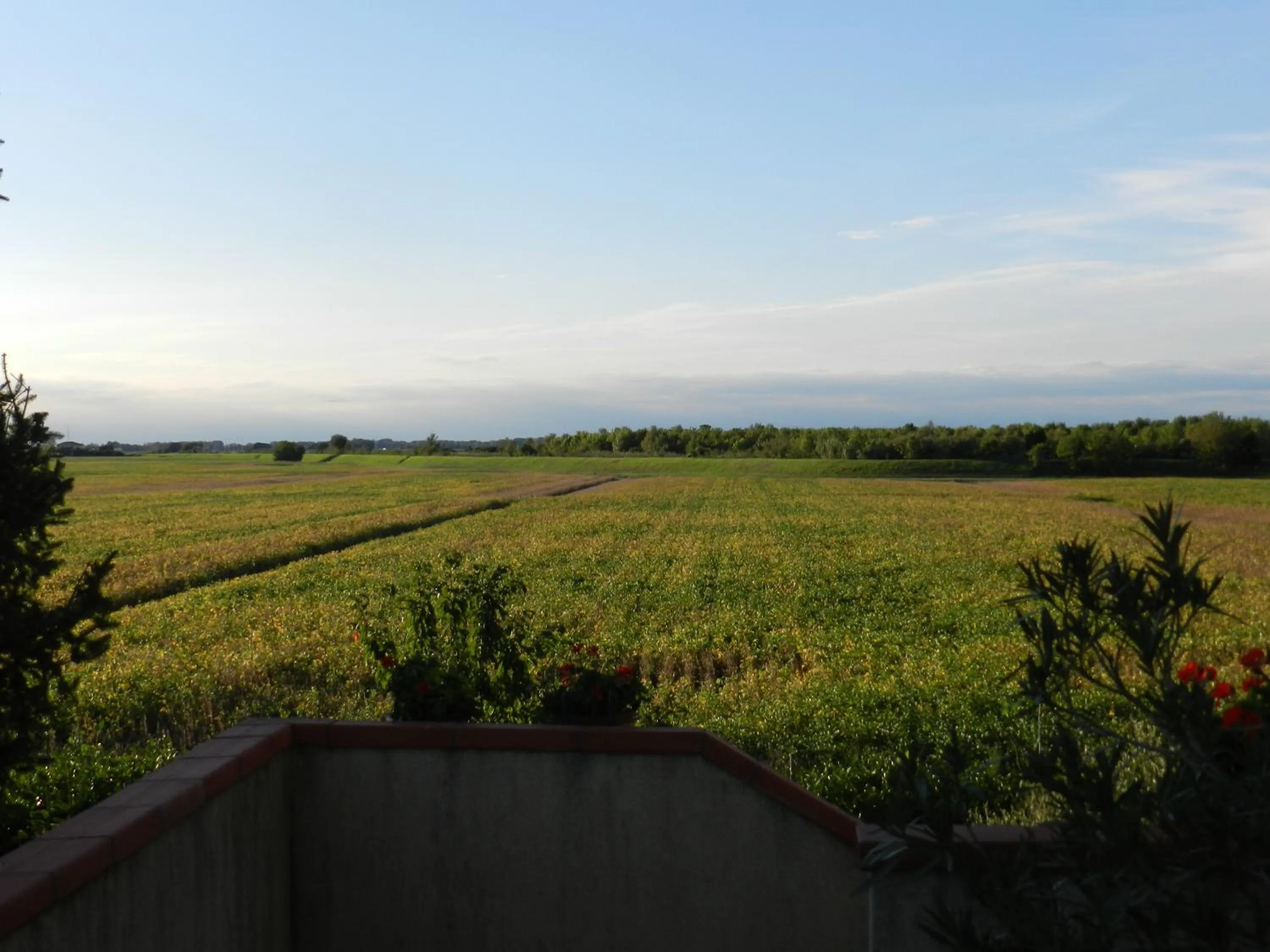 View (from property/room) in al Sol Levante