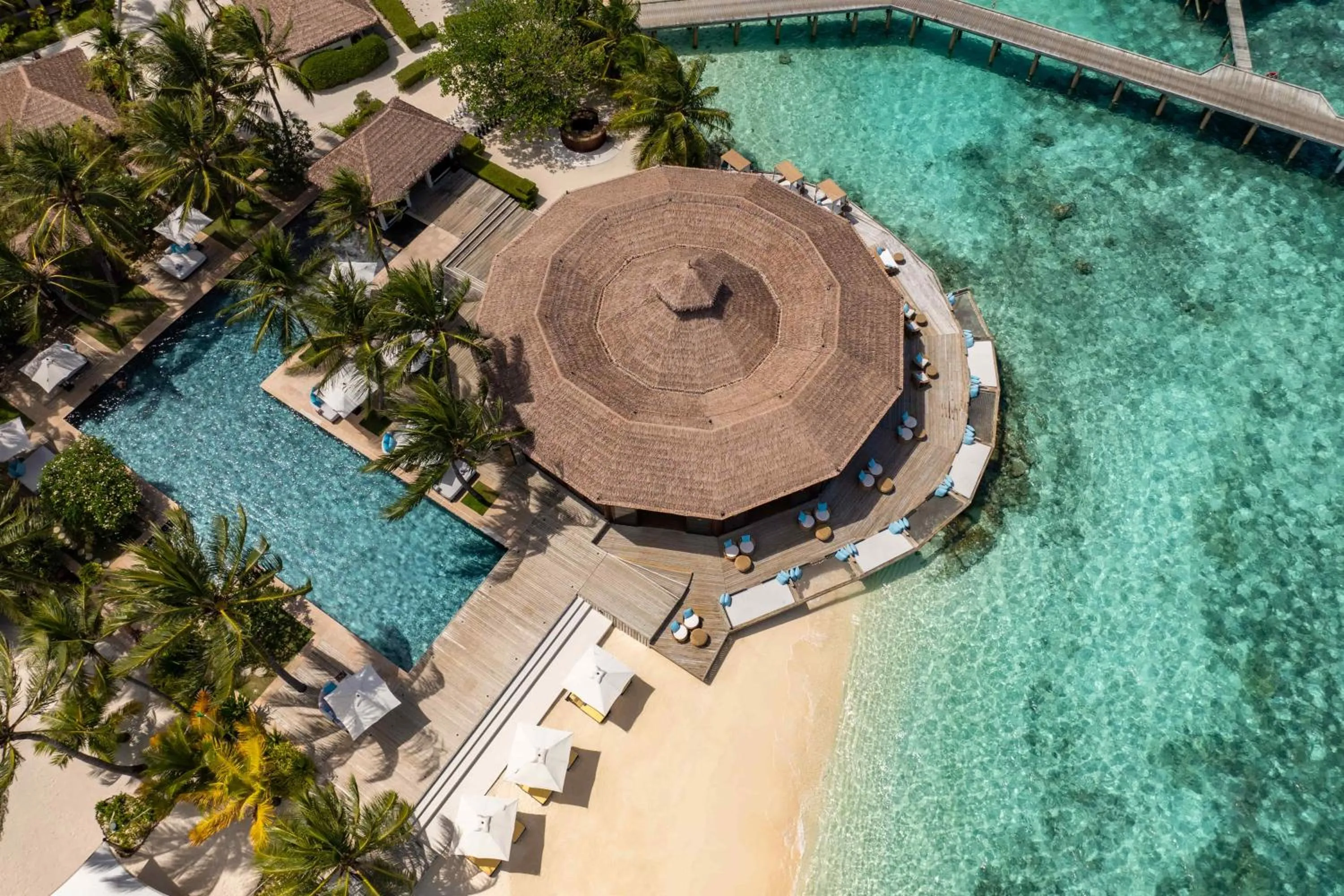 Lounge or bar in OZEN RESERVE BOLIFUSHI - Luxury All Inclusive with Free Transfers