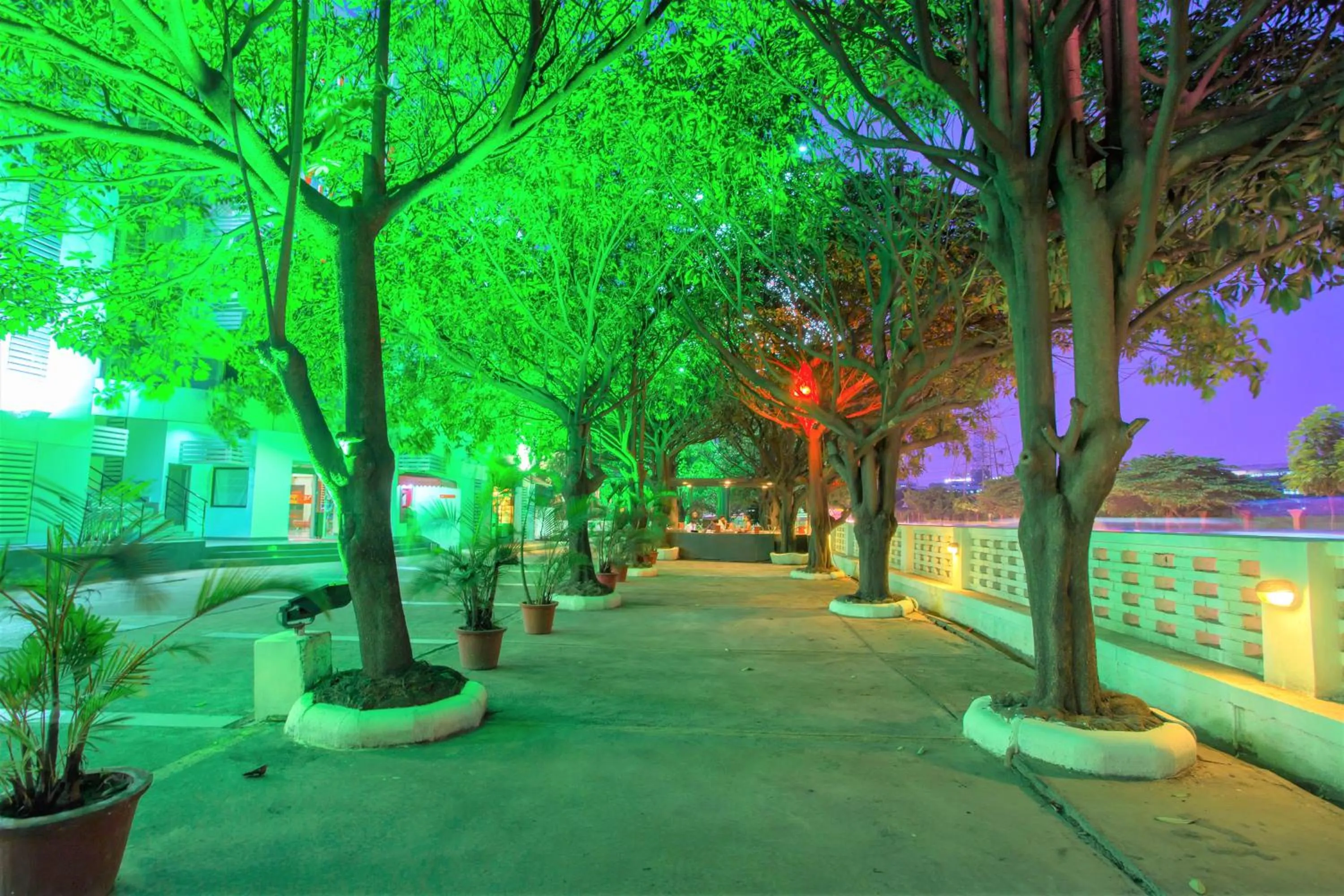 Garden in Ginger Bangalore- Whitefield