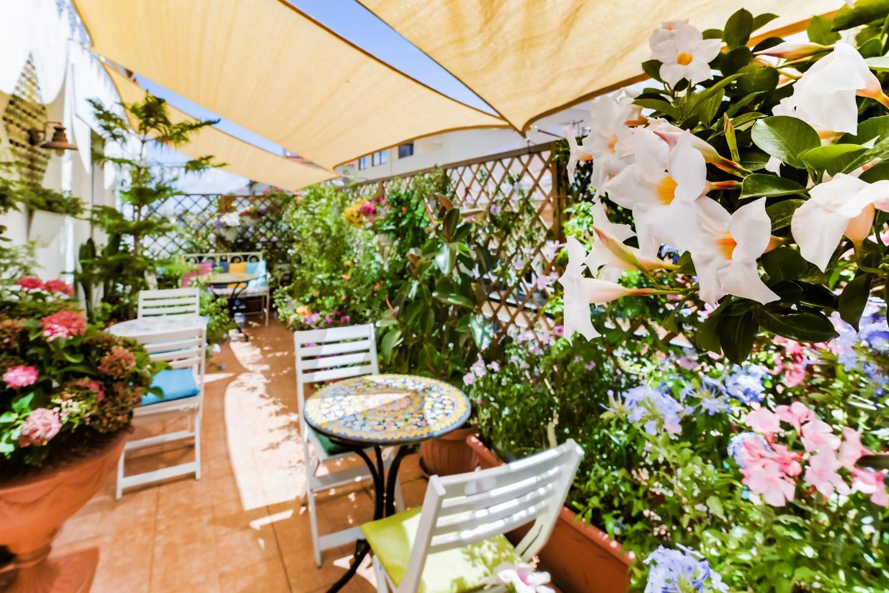 Balcony/Terrace in Alghero Roof Garden