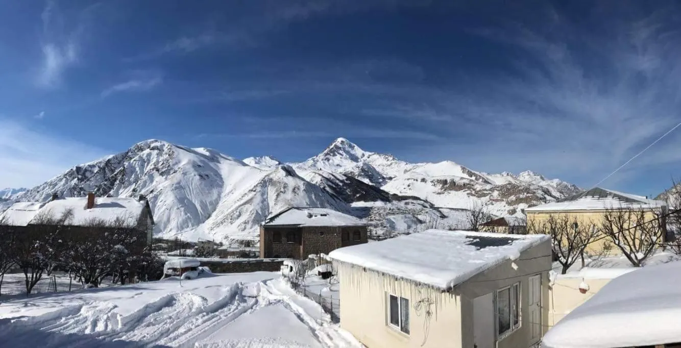 Guest House Elguja Qushashvili