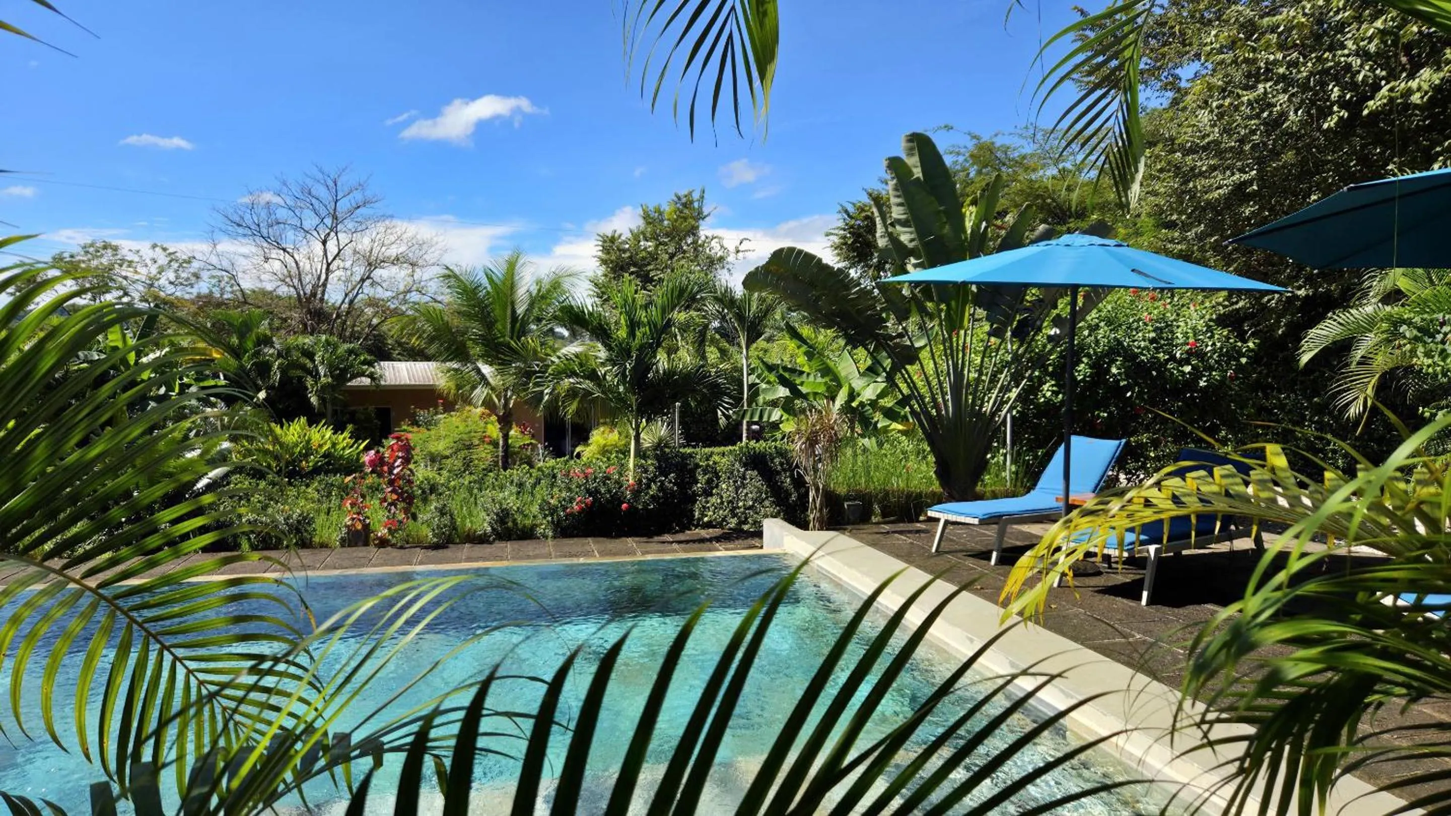 Pool view in Tee-K Lodge Tamarindo