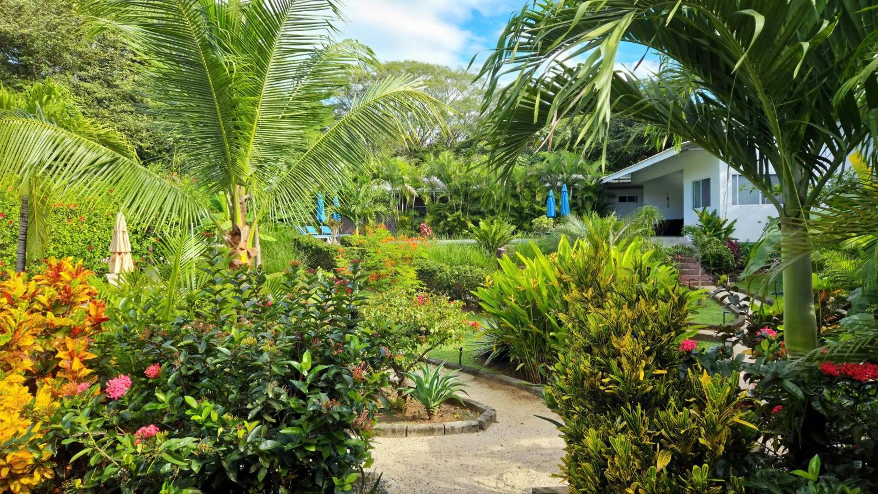 Garden in Tee-K Lodge Tamarindo