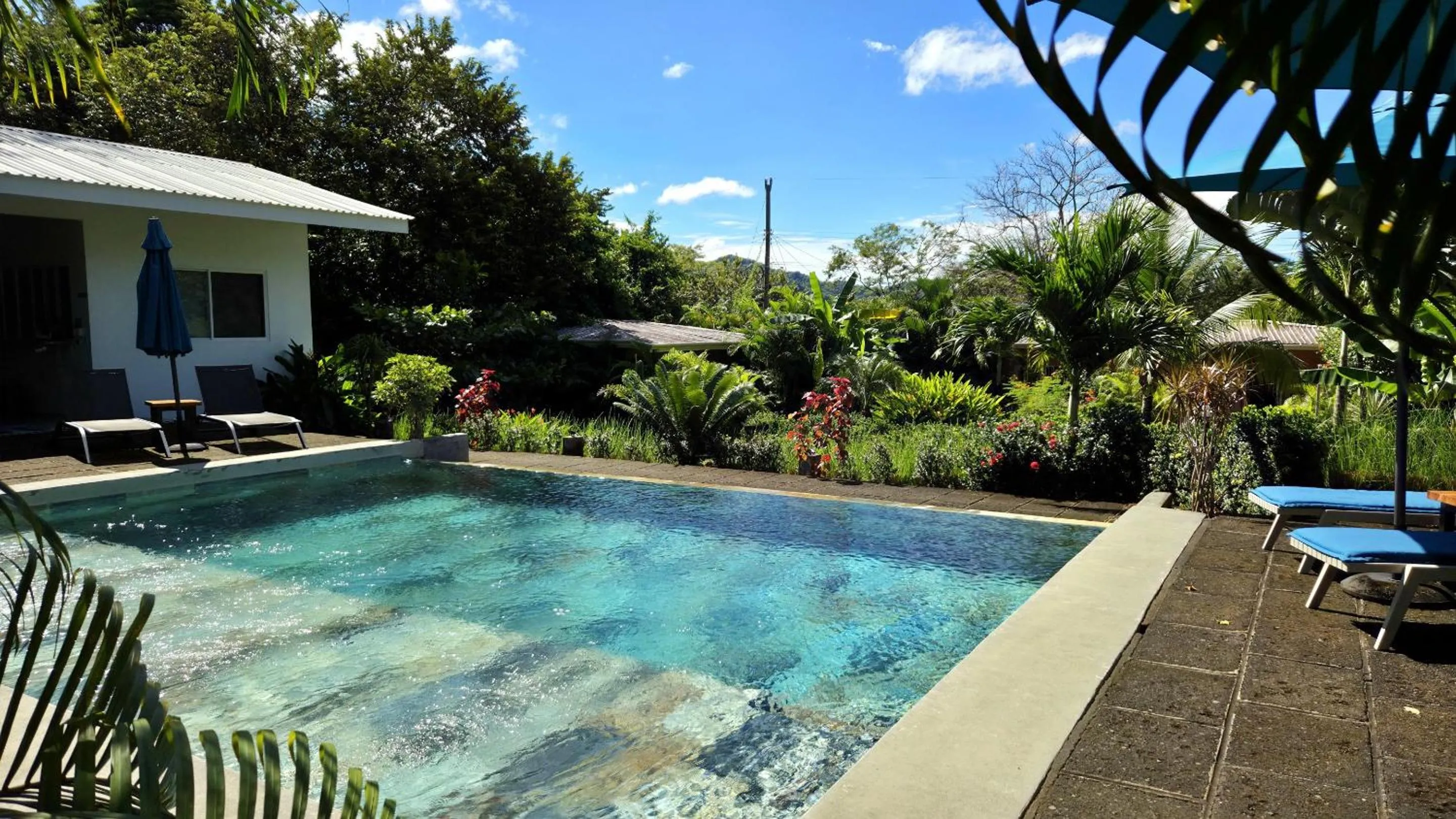 Pool view in Tee-K Lodge Tamarindo