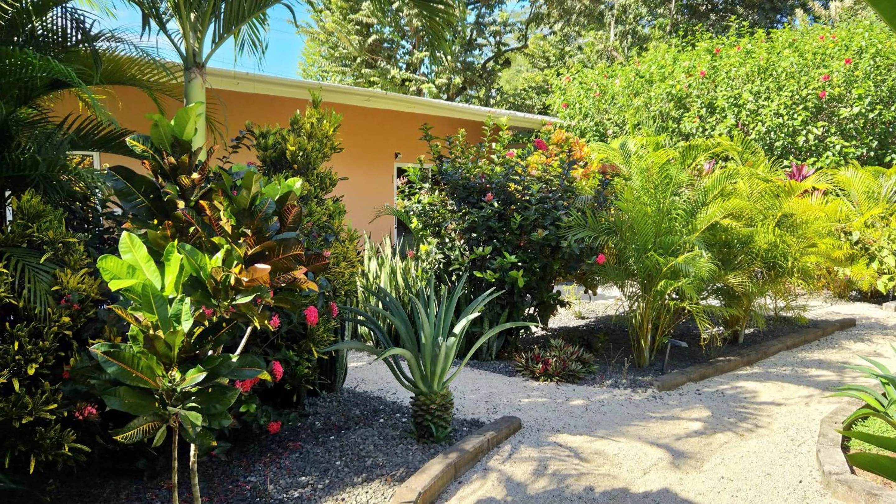 Garden in Tee-K Lodge Tamarindo