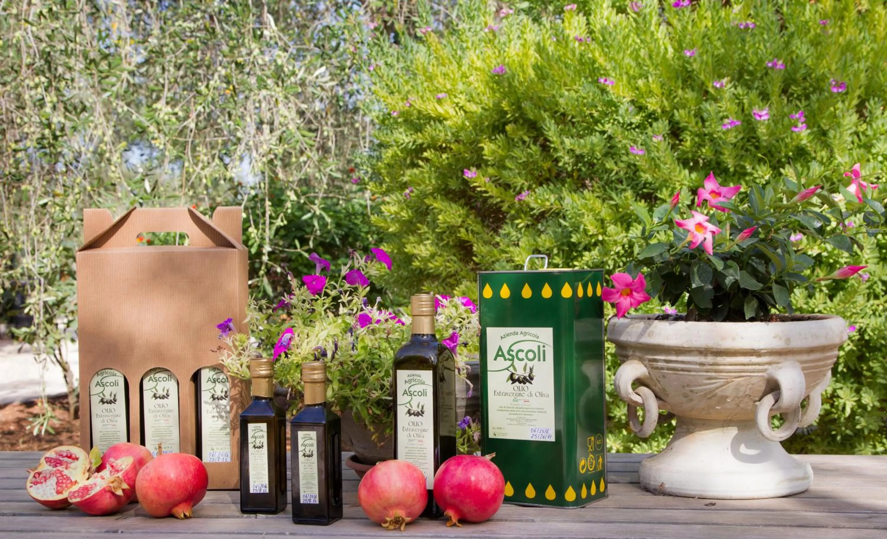 Winter in Residence Valleverde