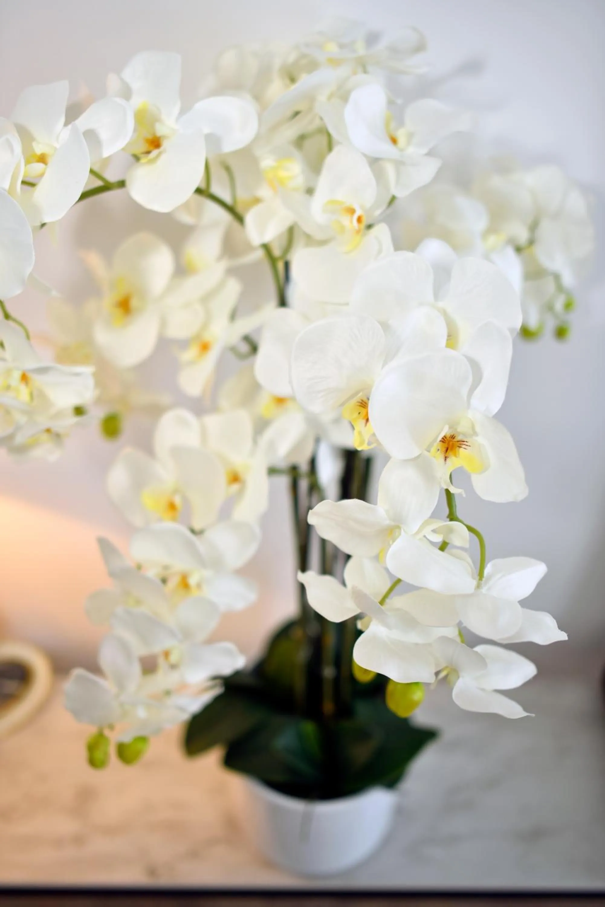 Decorative detail in Manduša Heritage Apartments