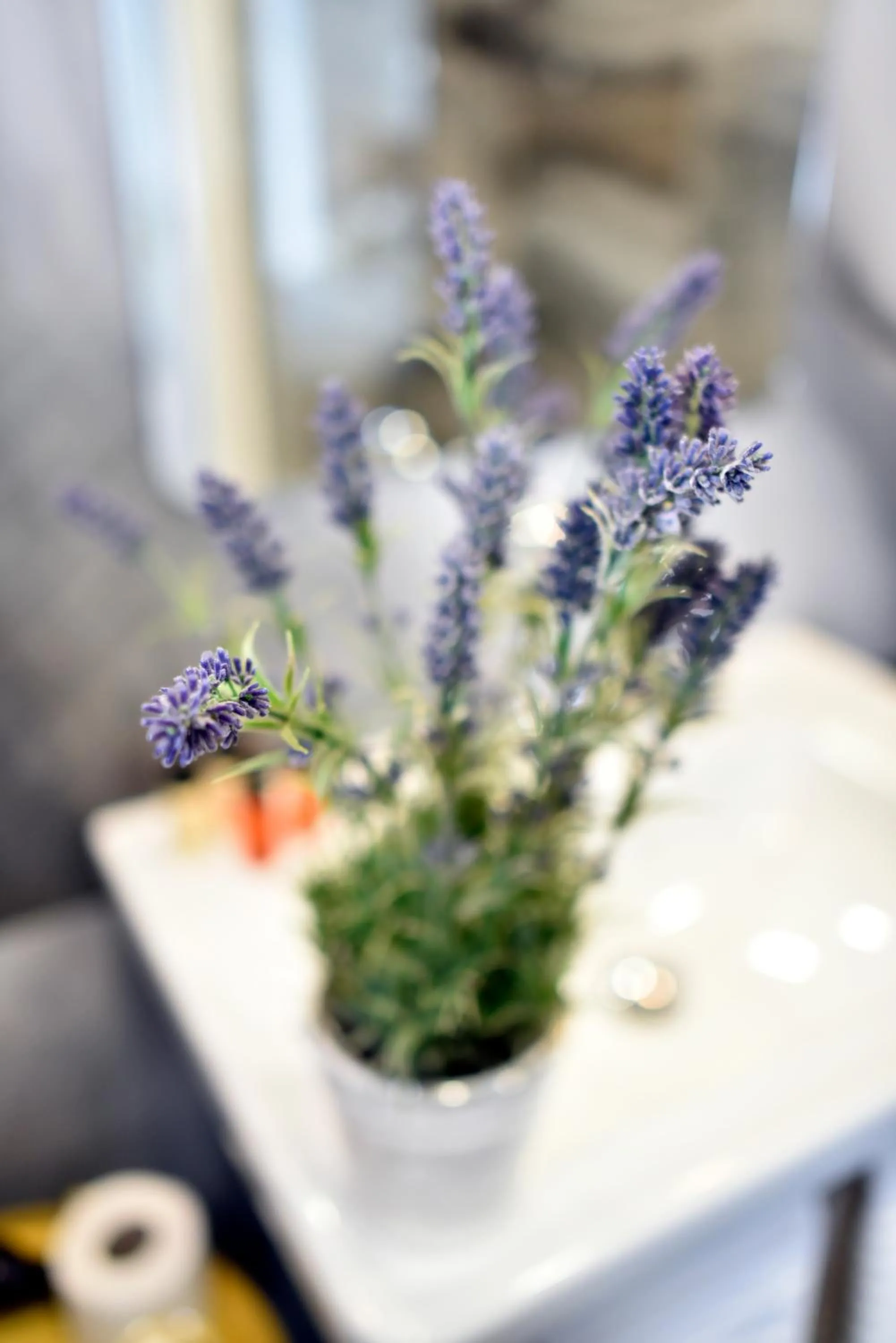 Decorative detail in Manduša Heritage Apartments