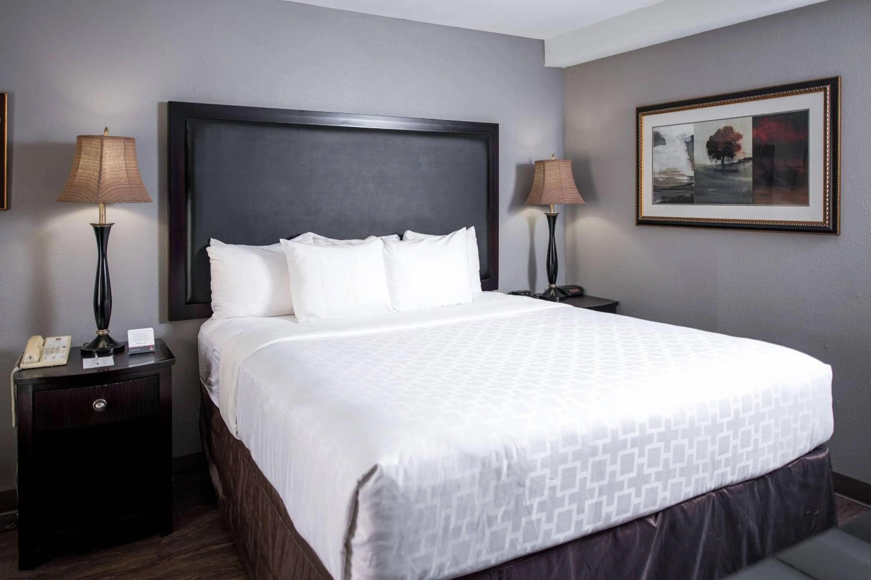 Bedroom, Bed in Clarion Hotel & Conference Center Leesburg