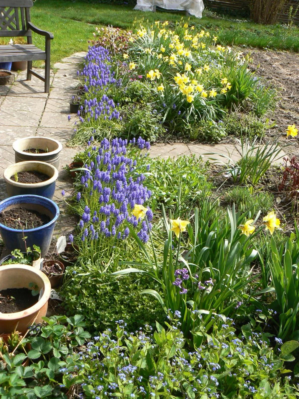 Garden in Aakirkeby Bed and Breakfast