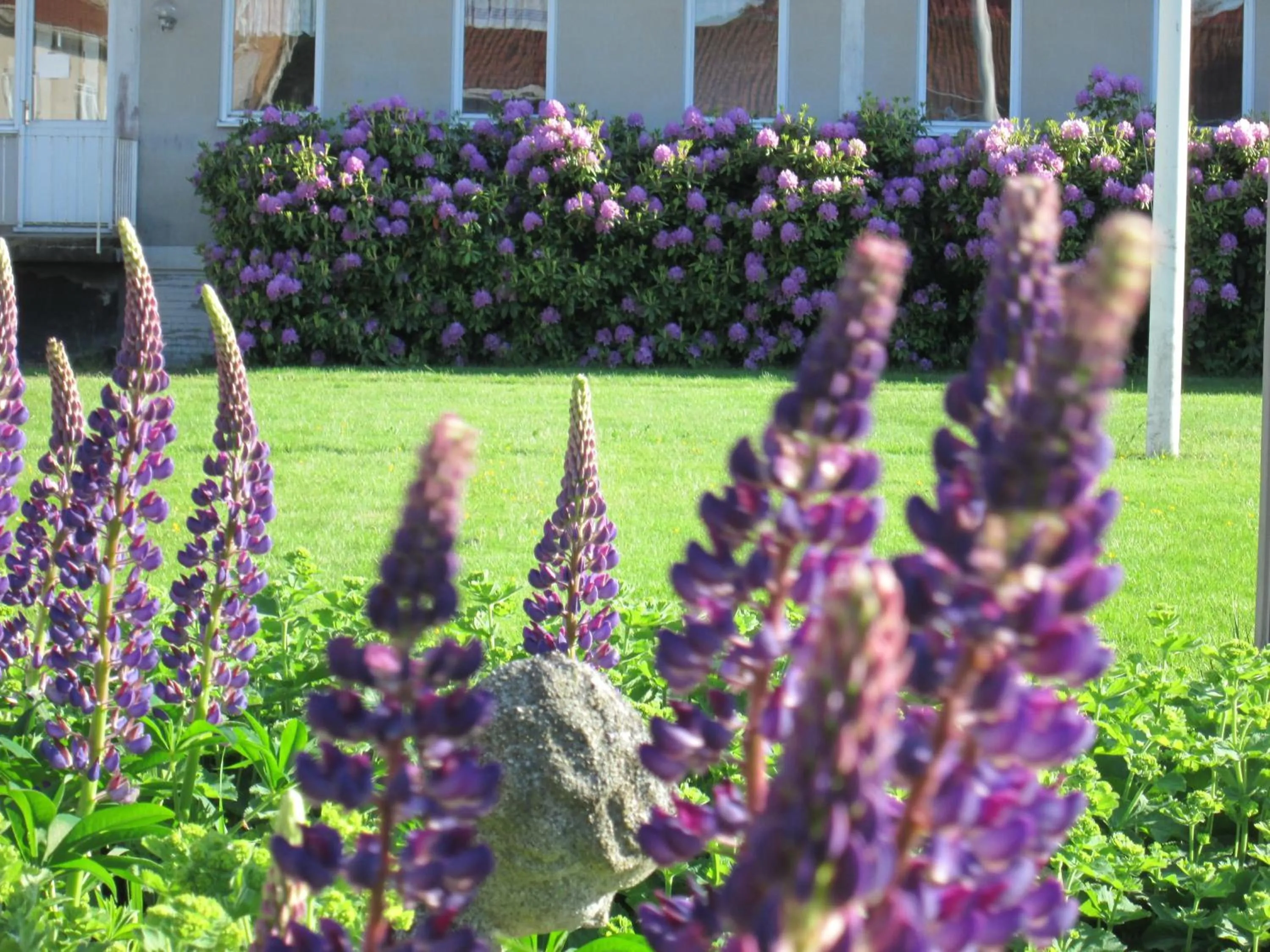 Garden in Brålanda Hotell och Vandrarhem