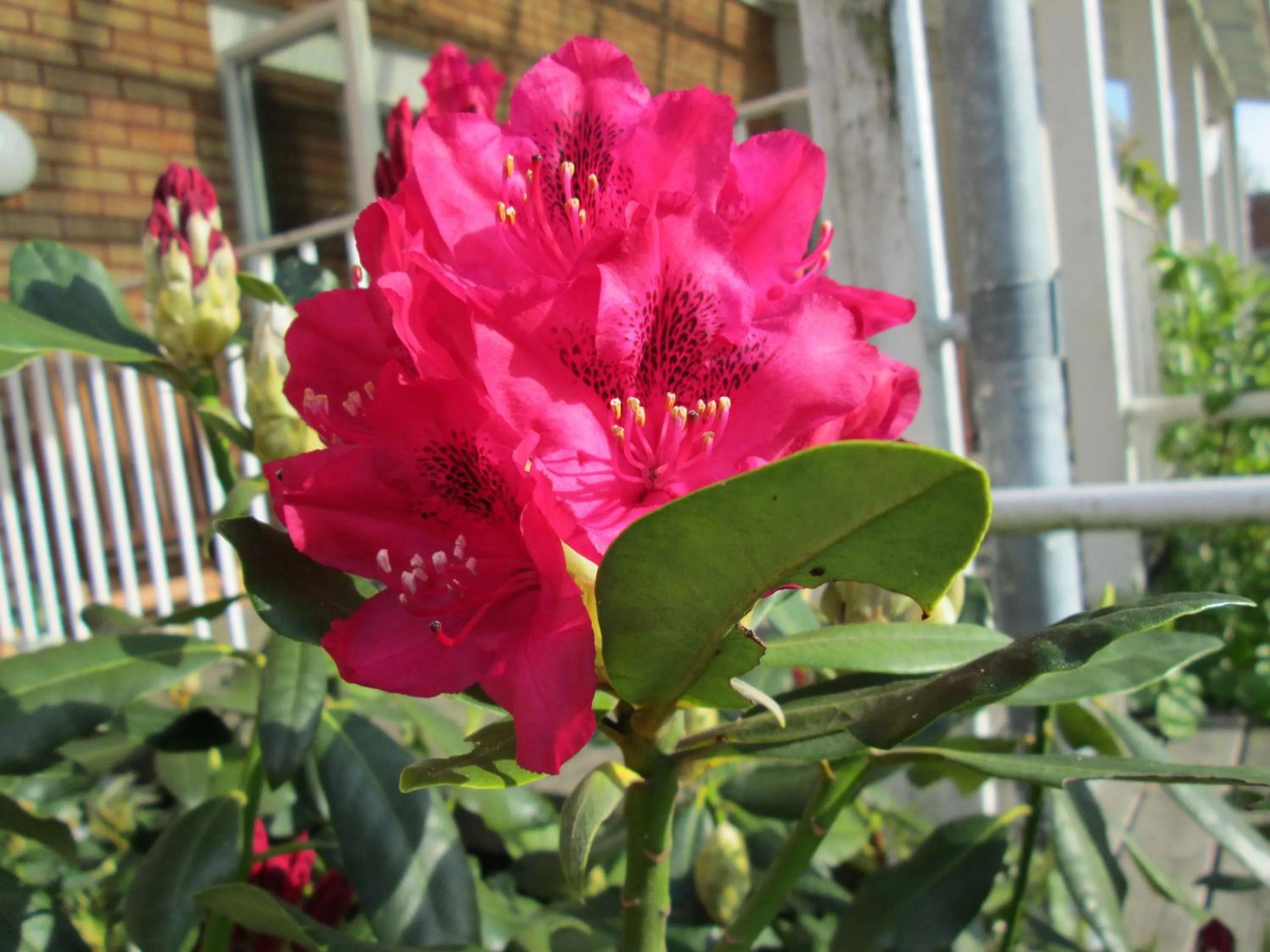 Decorative detail in Brålanda Hotell och Vandrarhem