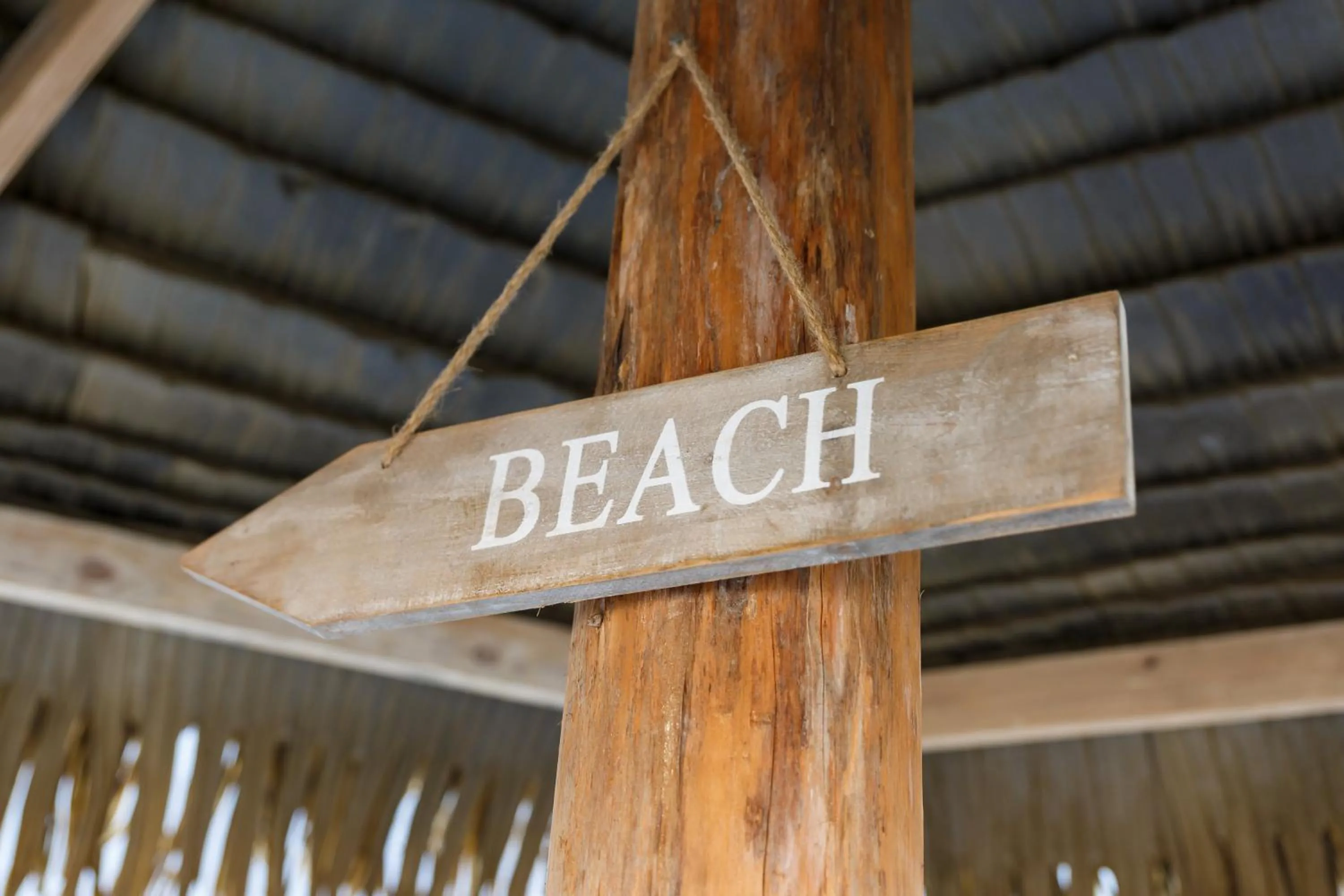 Decorative detail in Aruba Boutique Apartments - Adults Only