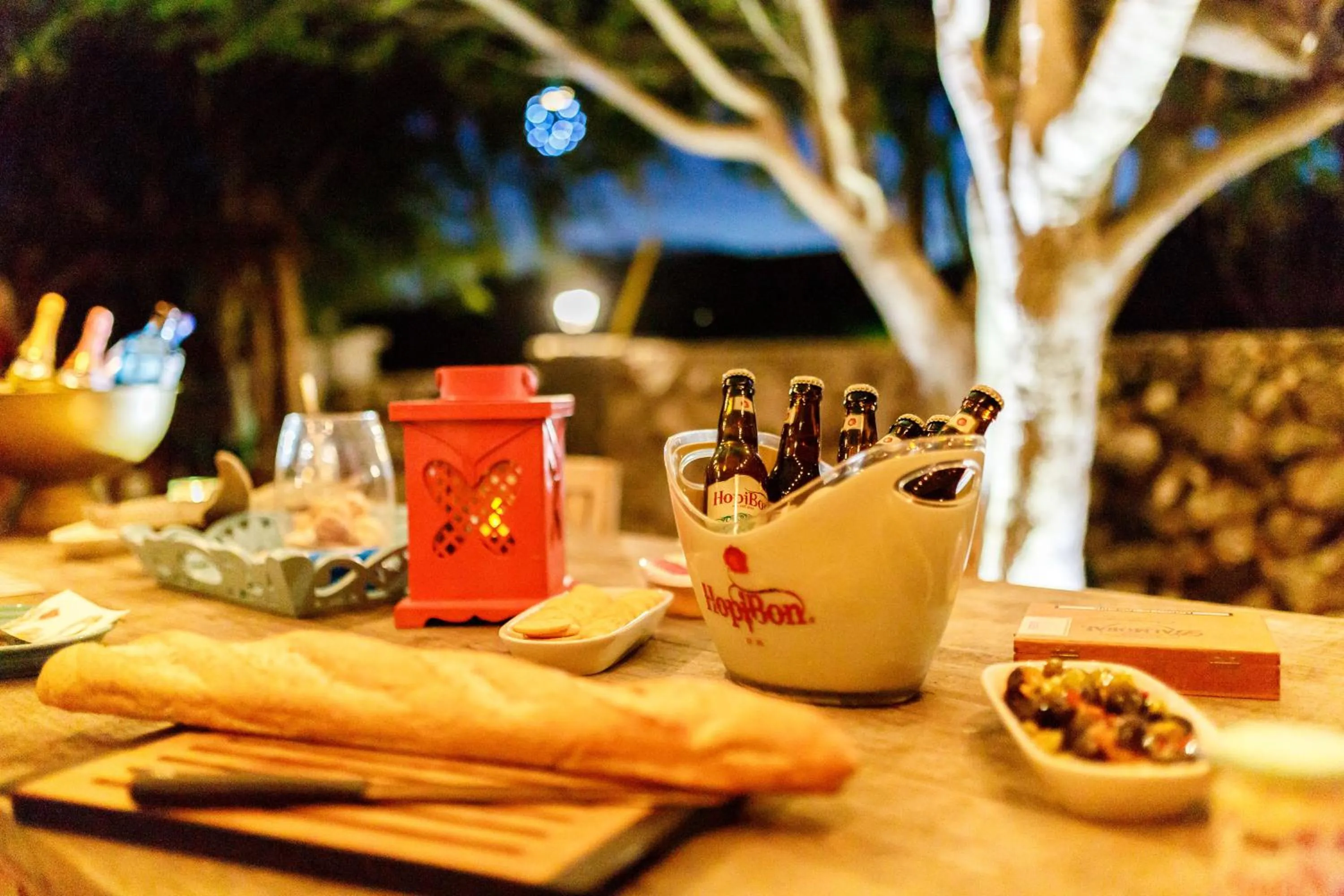 Garden in Aruba Boutique Apartments - Adults Only