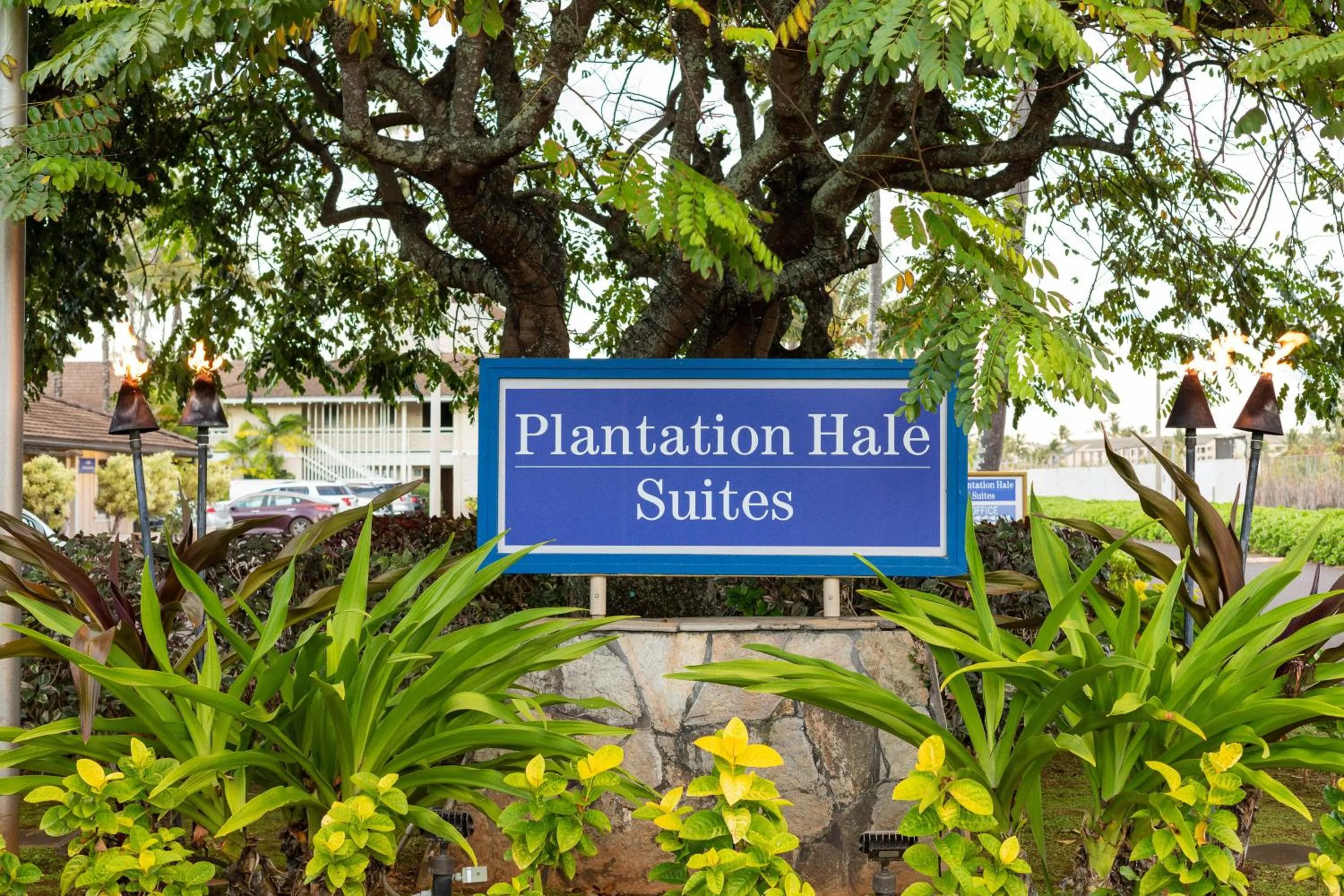 Property building in Plantation Hale Suites