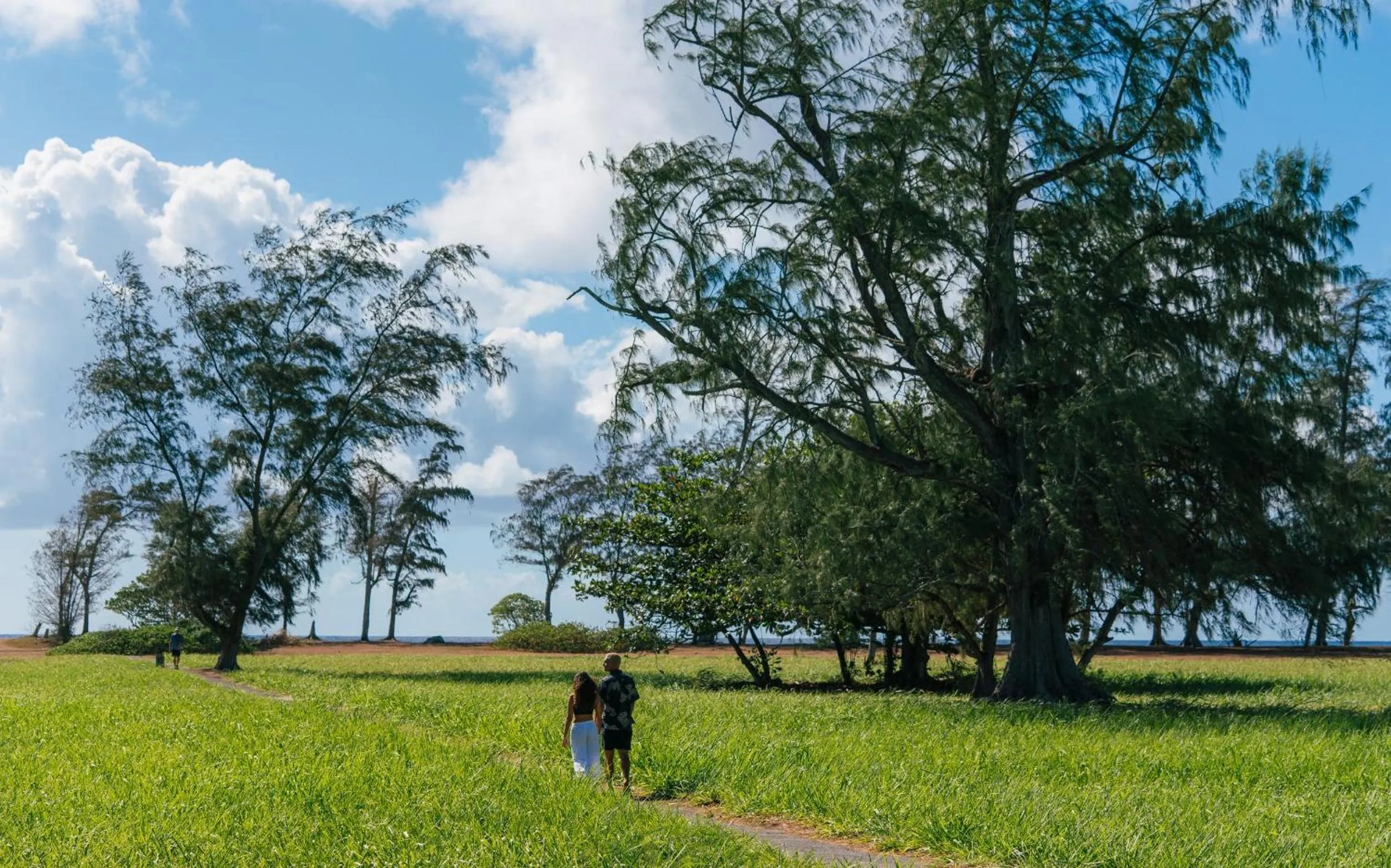 Other in Plantation Hale Suites