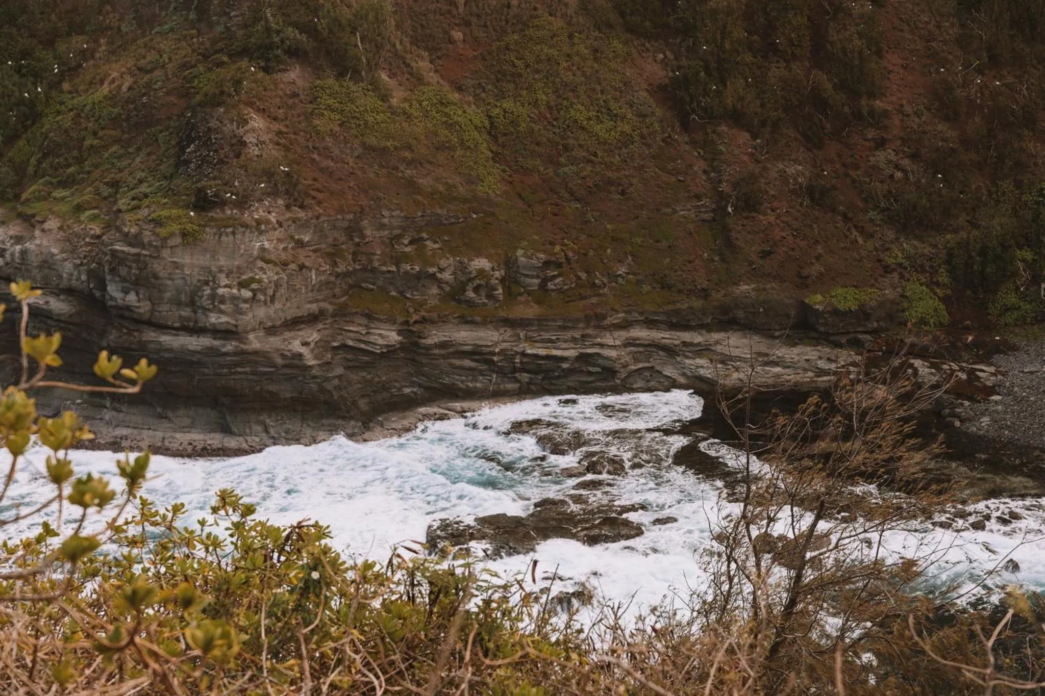 Area and facilities in Plantation Hale Suites